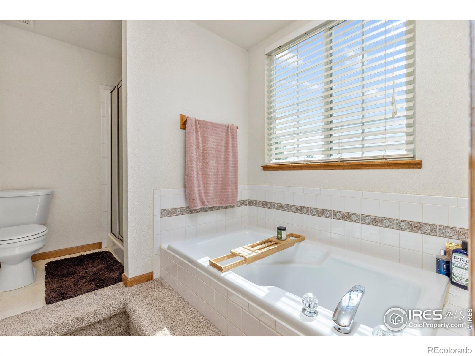 MLS Image #24 for 1111  valley place,windsor, Colorado