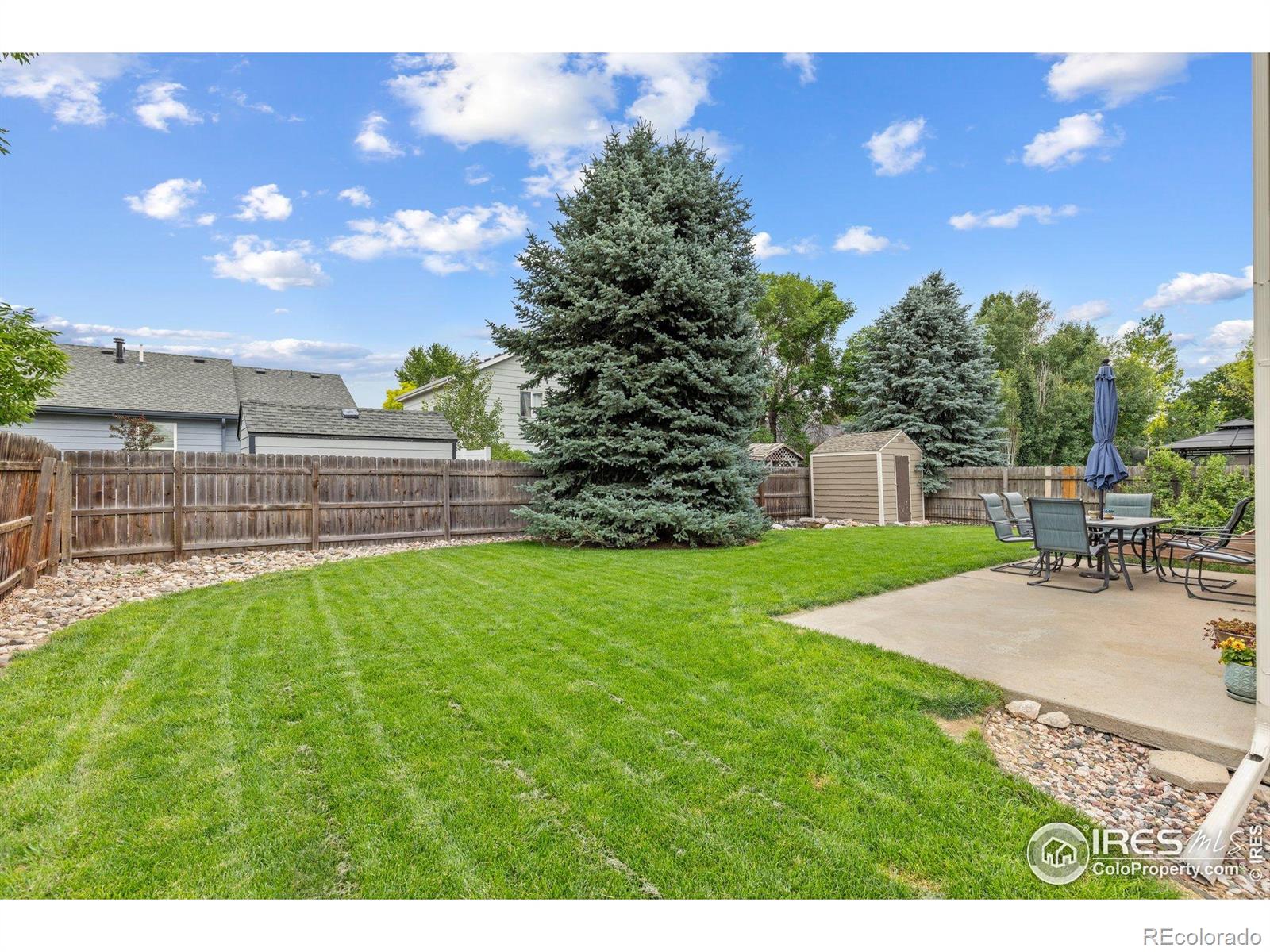 MLS Image #30 for 1111  valley place,windsor, Colorado