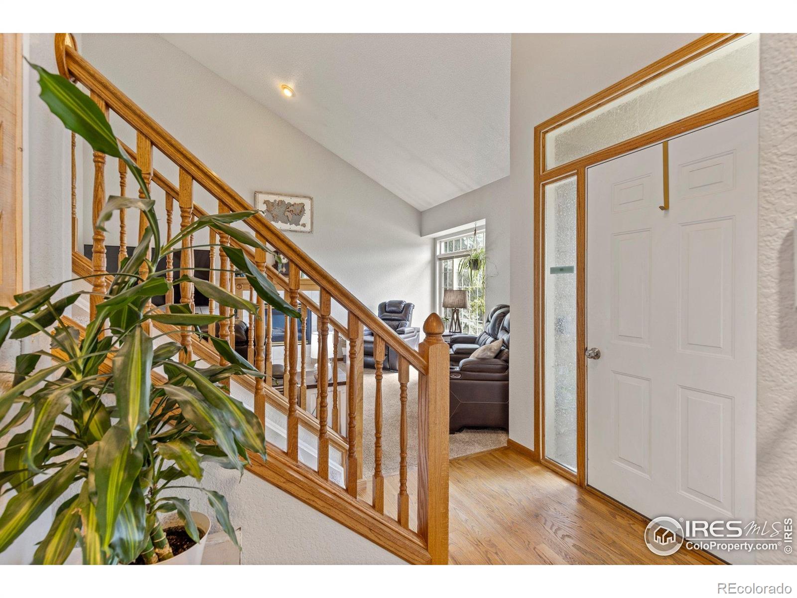 MLS Image #8 for 1111  valley place,windsor, Colorado