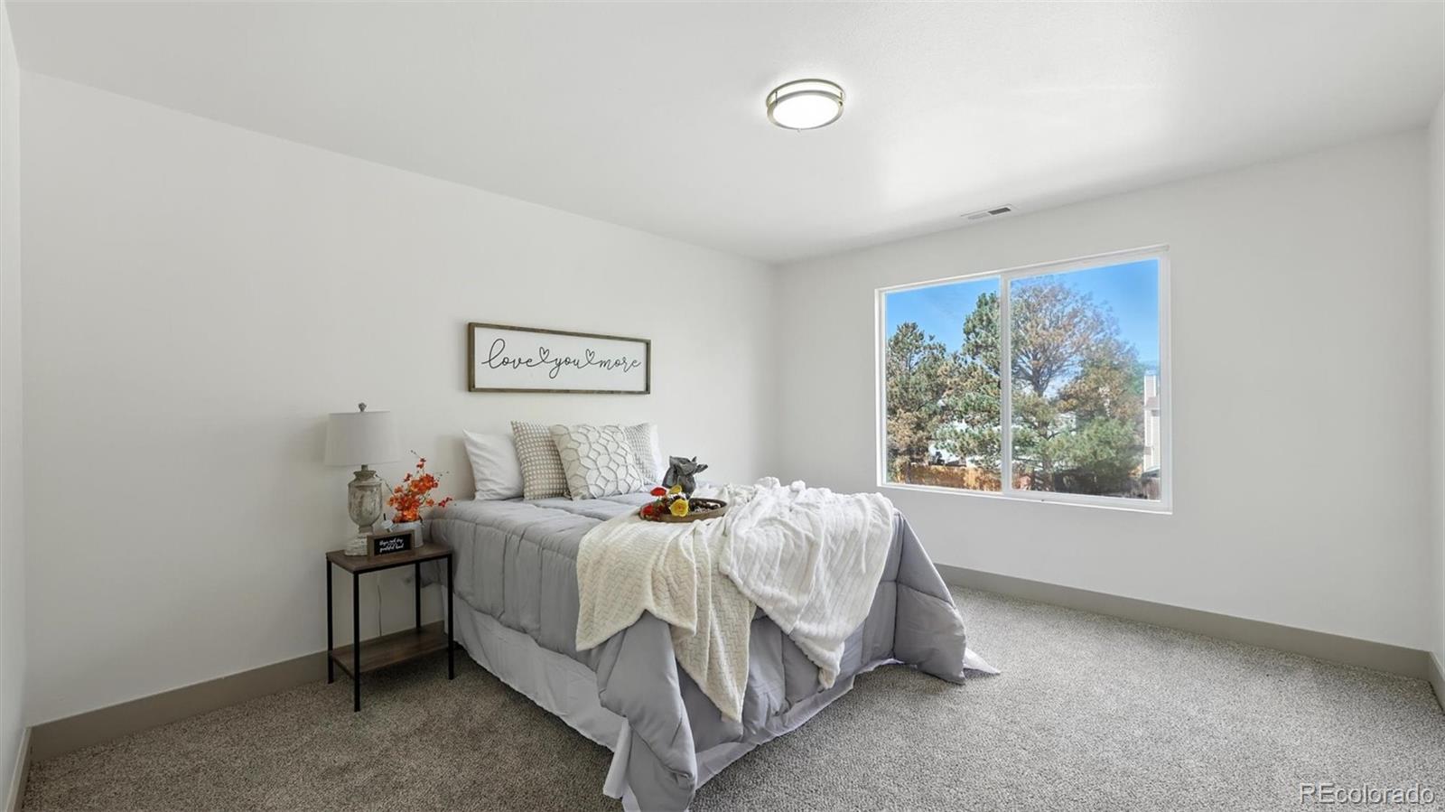 MLS Image #31 for 4304  gunbarrel drive,colorado springs, Colorado