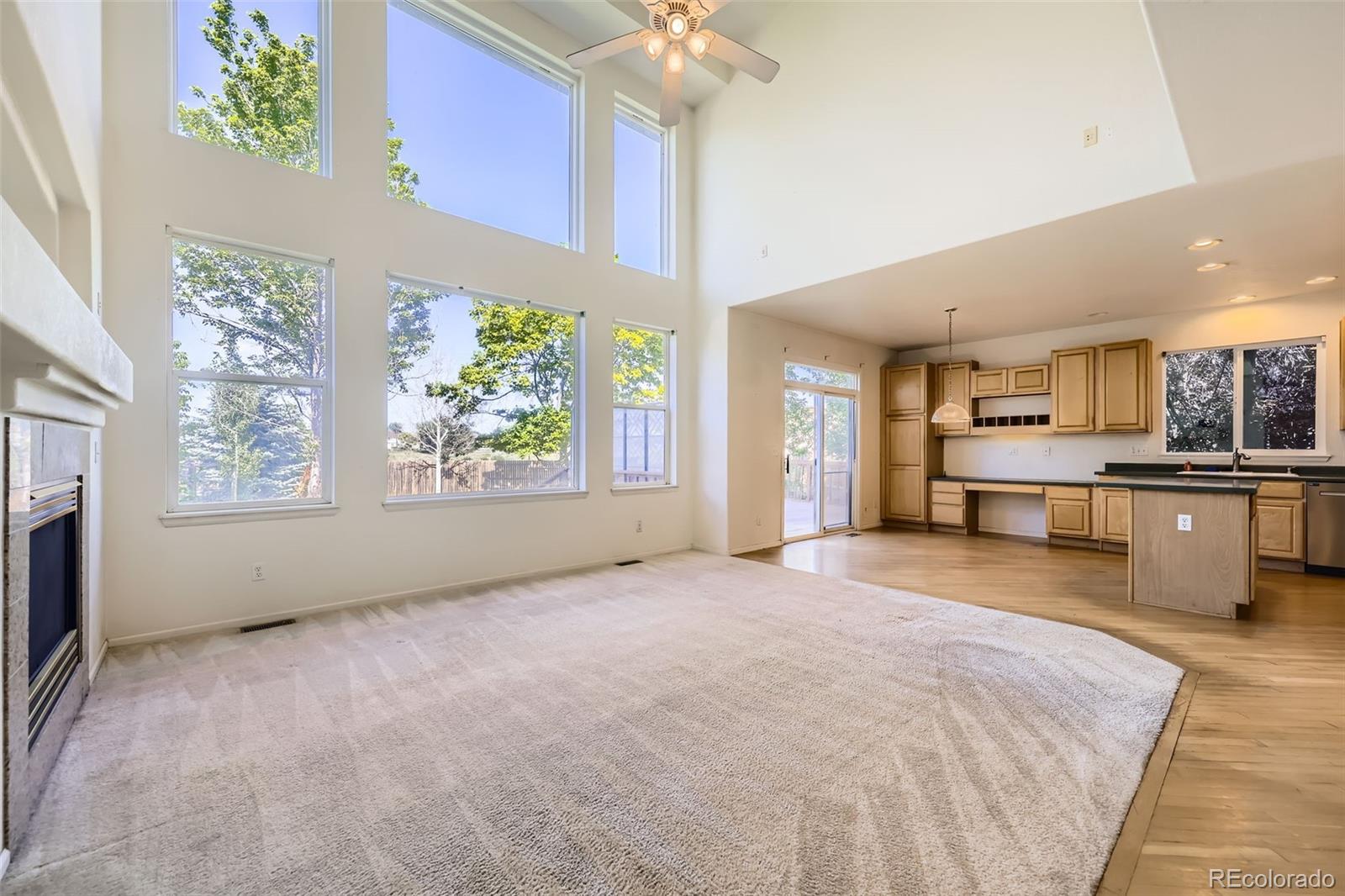 MLS Image #10 for 1730  pear court,brighton, Colorado
