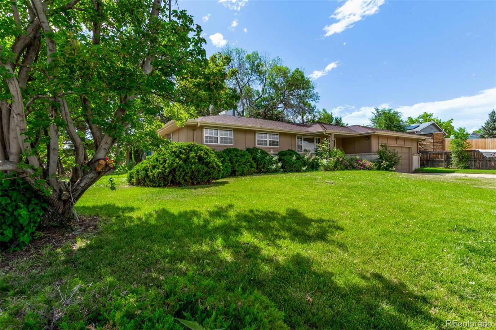 MLS Image #2 for 6131  wolff street,arvada, Colorado