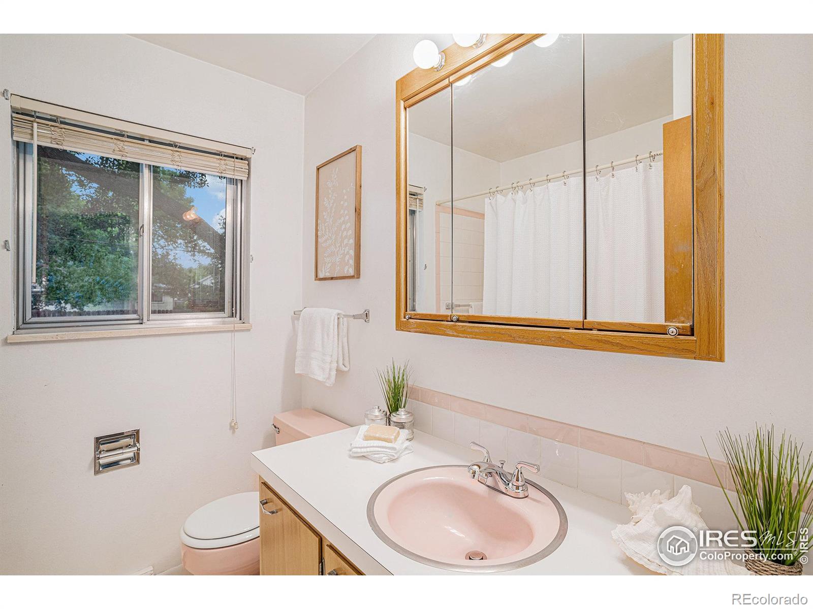 MLS Image #16 for 1417  skyline drive,fort collins, Colorado