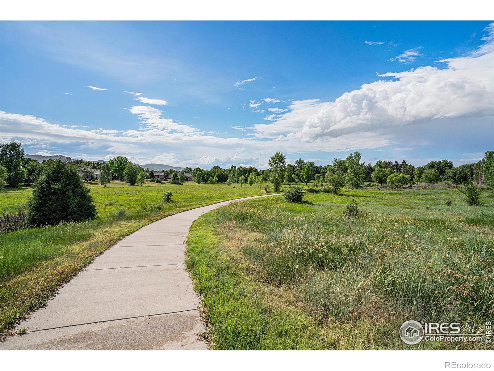 MLS Image #33 for 1417  skyline drive,fort collins, Colorado