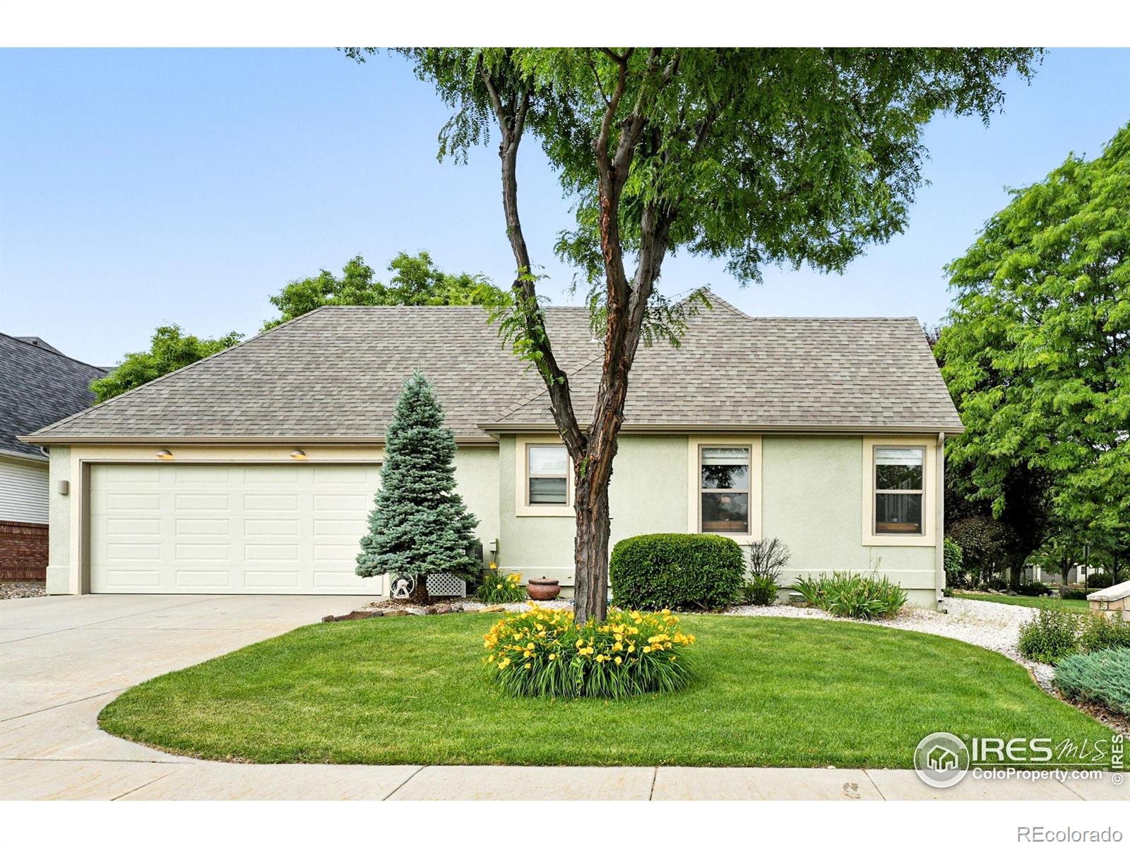 MLS Image #3 for 734  rossum drive,loveland, Colorado