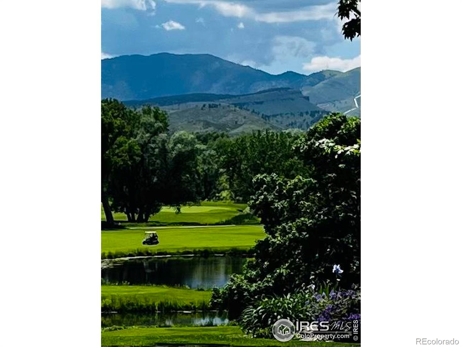 MLS Image #38 for 734  rossum drive,loveland, Colorado