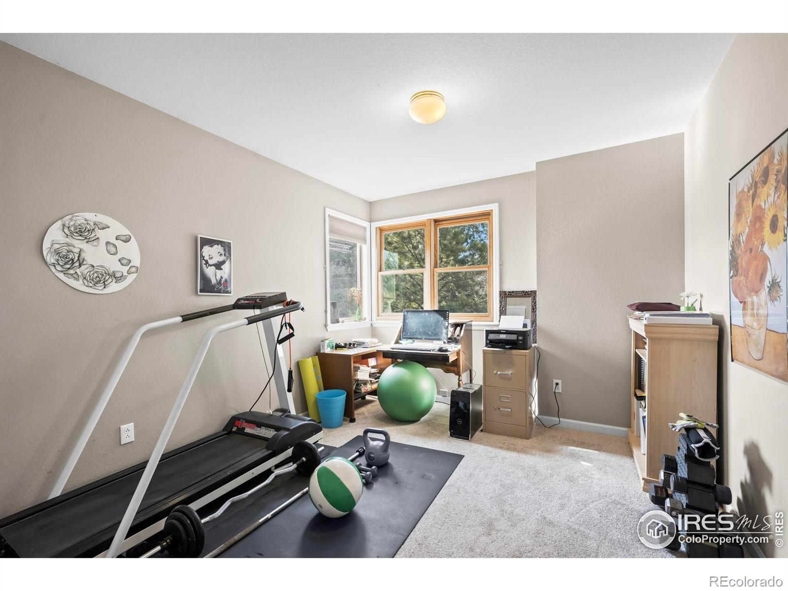 MLS Image #19 for 5397  wild dunes court,boulder, Colorado