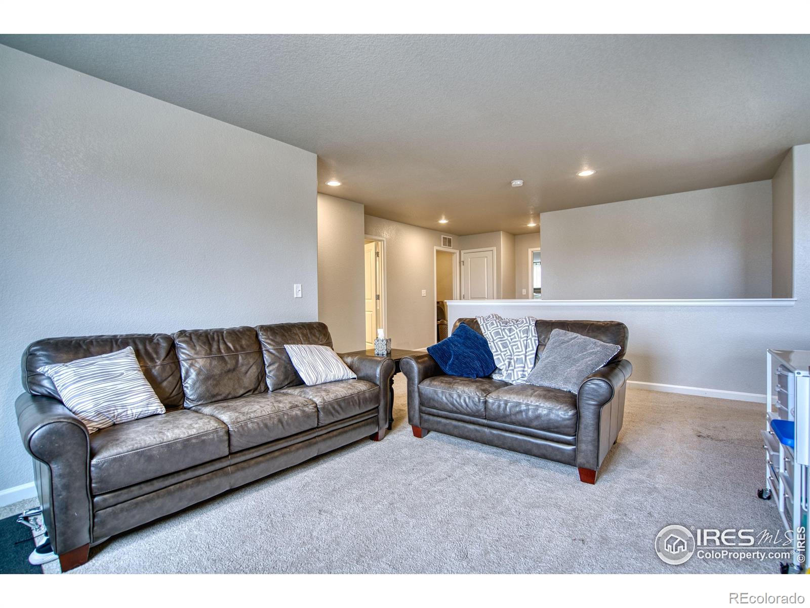MLS Image #15 for 1420 s lotus drive,milliken, Colorado