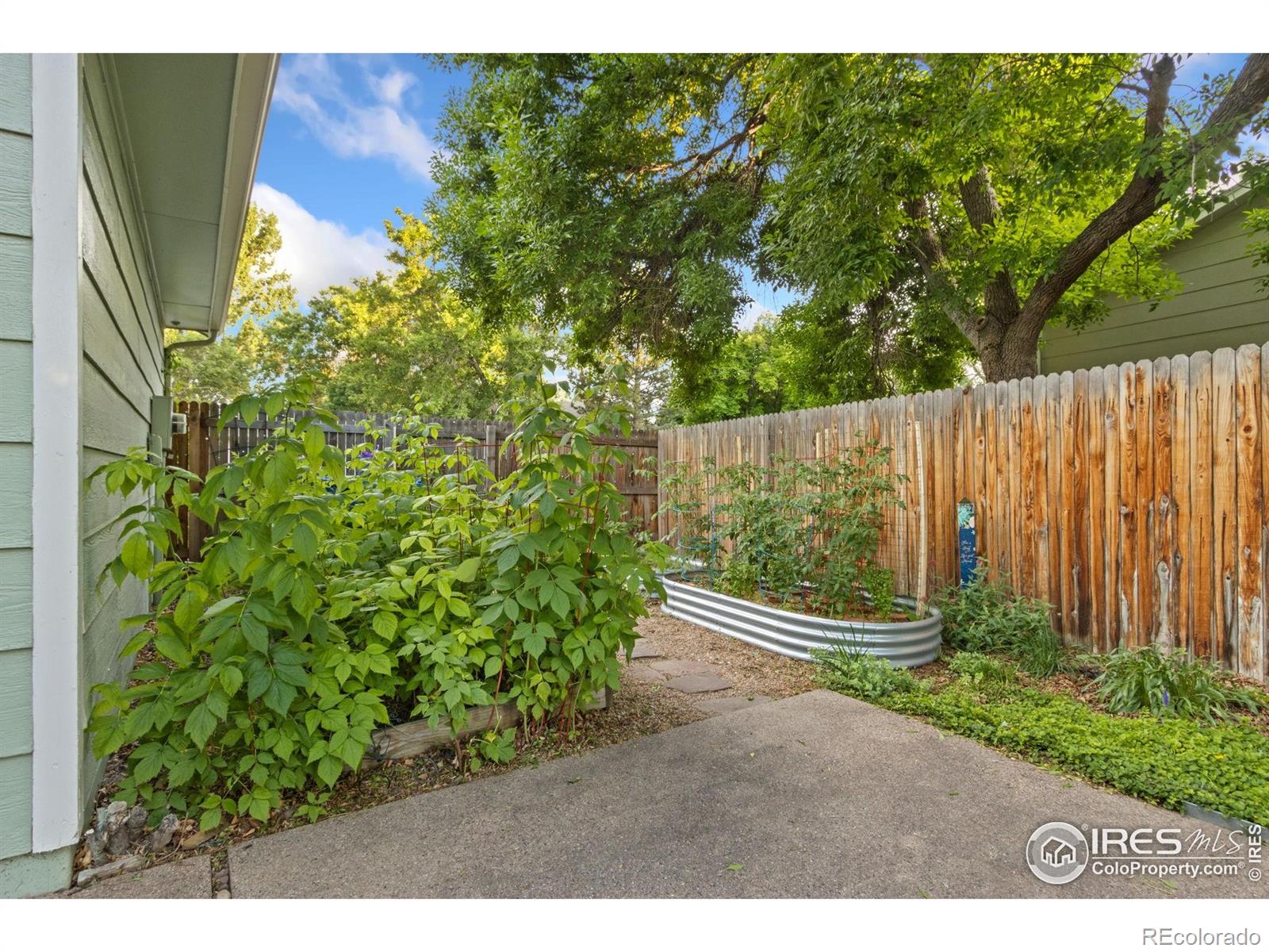 MLS Image #15 for 2400  arctic fox drive,fort collins, Colorado