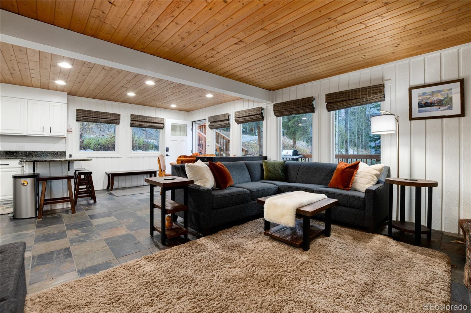 MLS Image #14 for 384  blue ridge road,breckenridge, Colorado
