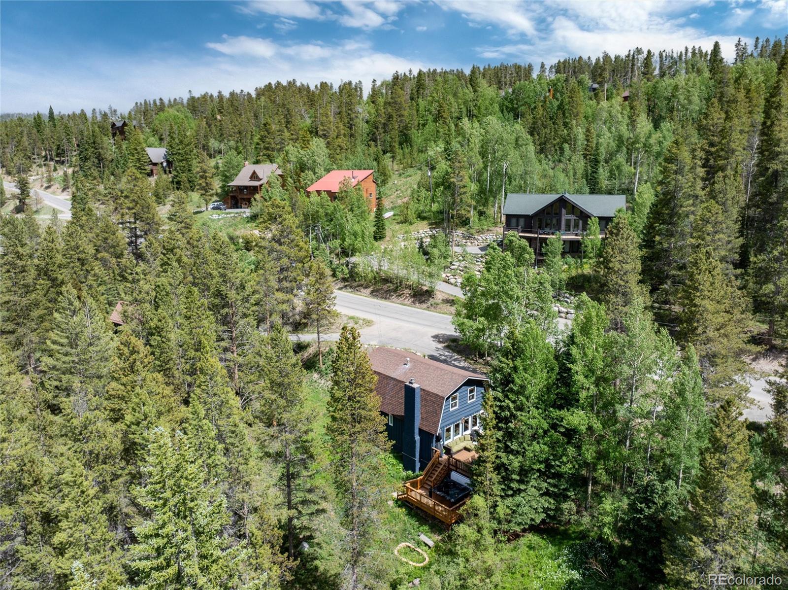 MLS Image #27 for 384  blue ridge road,breckenridge, Colorado