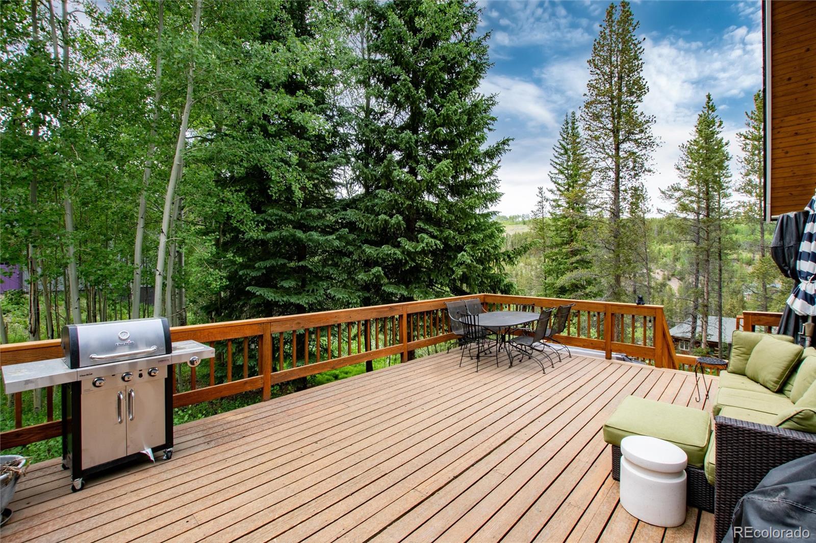 MLS Image #28 for 384  blue ridge road,breckenridge, Colorado
