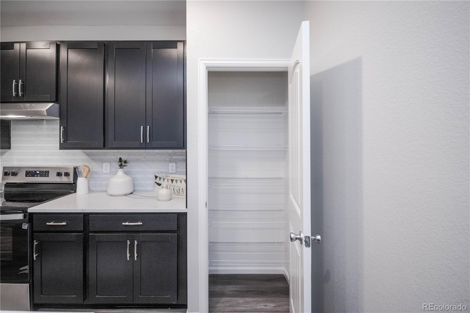 MLS Image #16 for 17600  rose heath lane,parker, Colorado