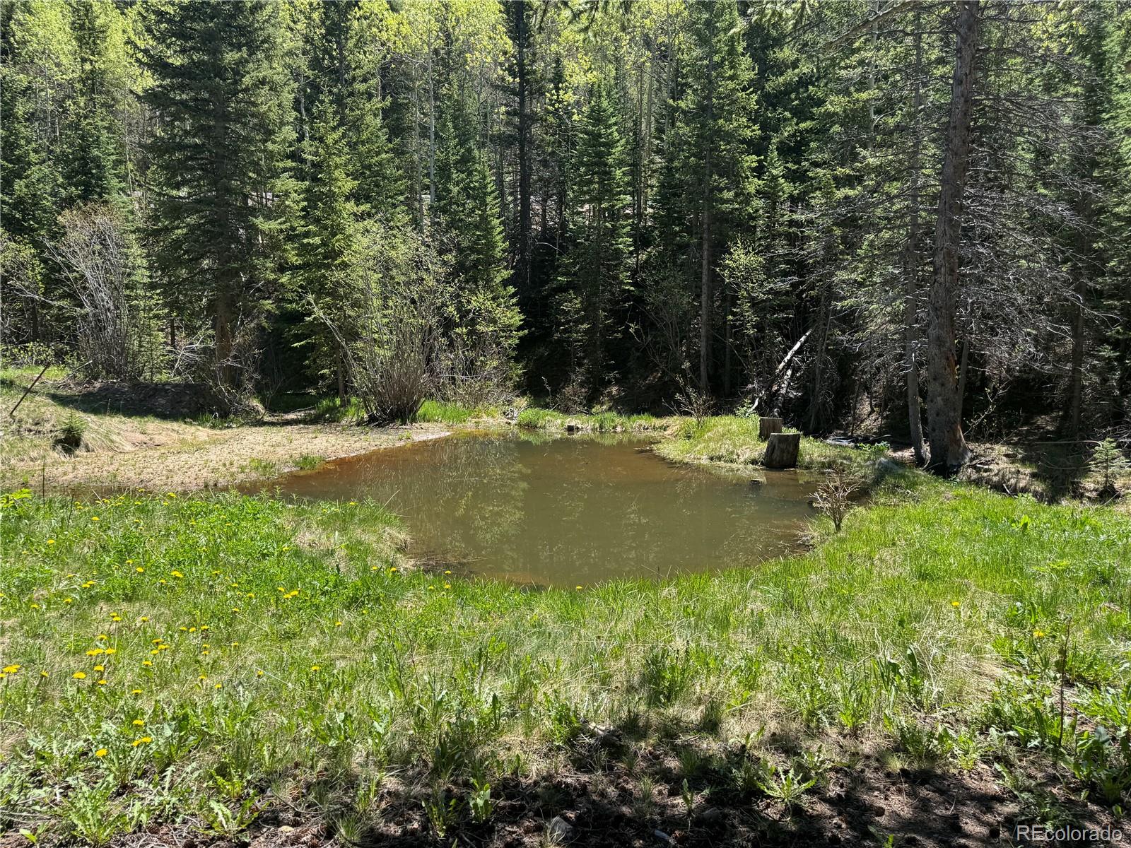 MLS Image #3 for 4568  apex valley road,black hawk, Colorado
