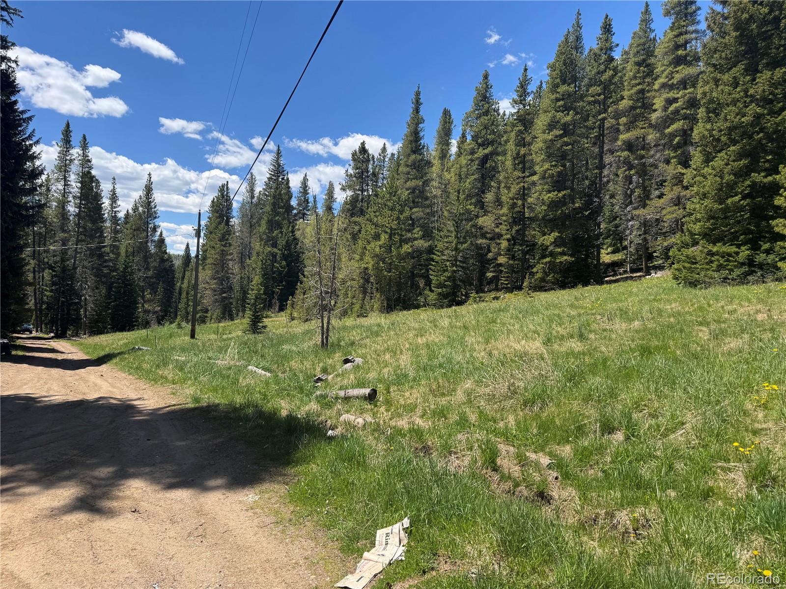 MLS Image #4 for 4568  apex valley road,black hawk, Colorado