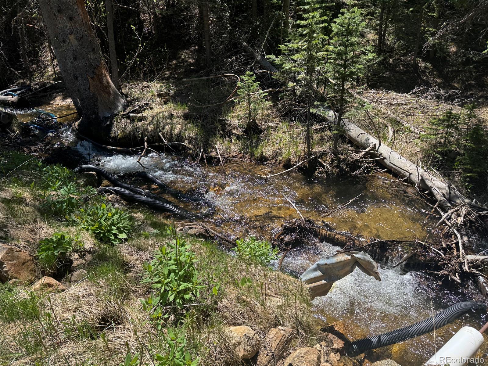MLS Image #5 for 4568  apex valley road,black hawk, Colorado
