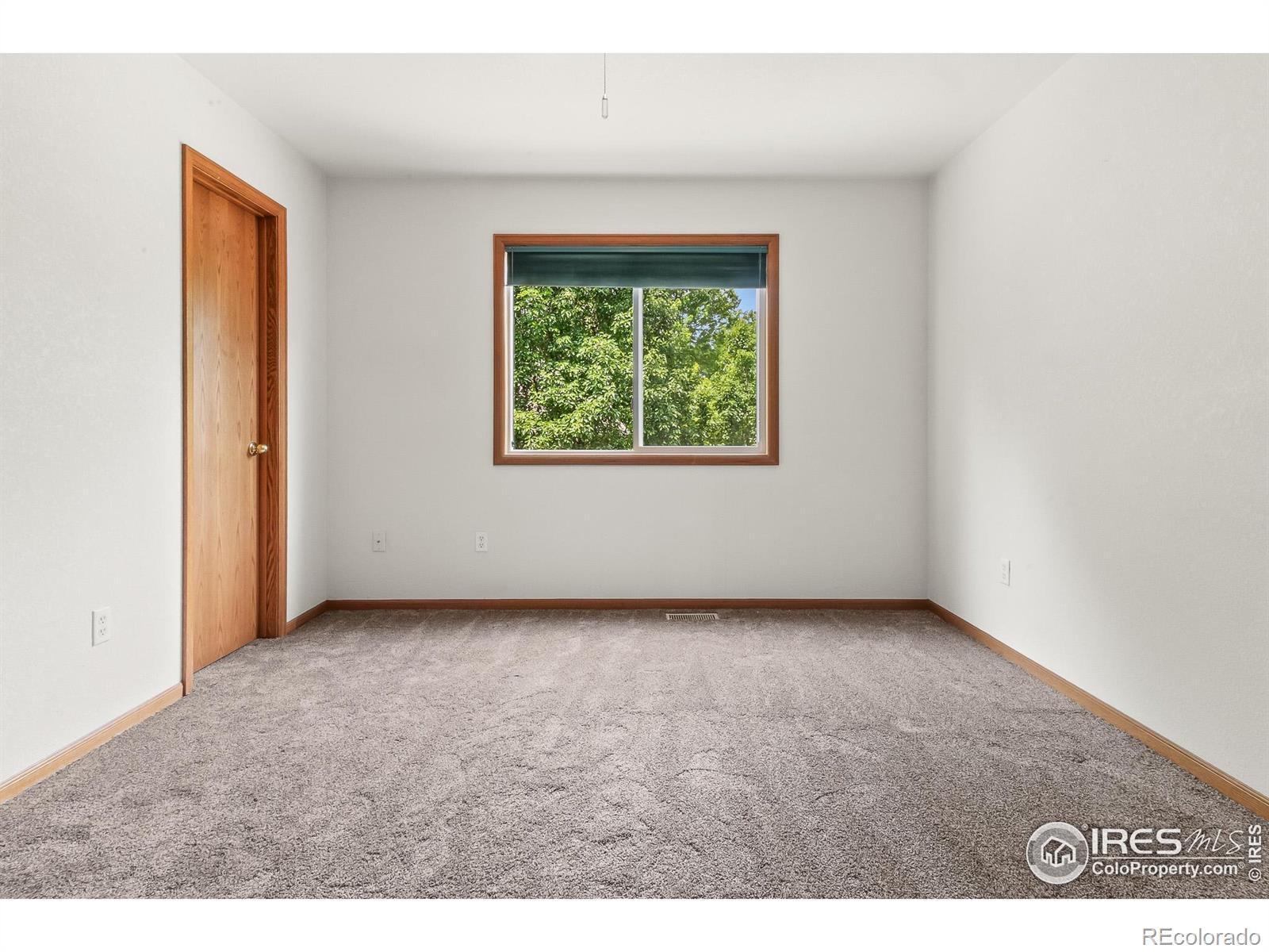 MLS Image #10 for 131  morgan court,loveland, Colorado