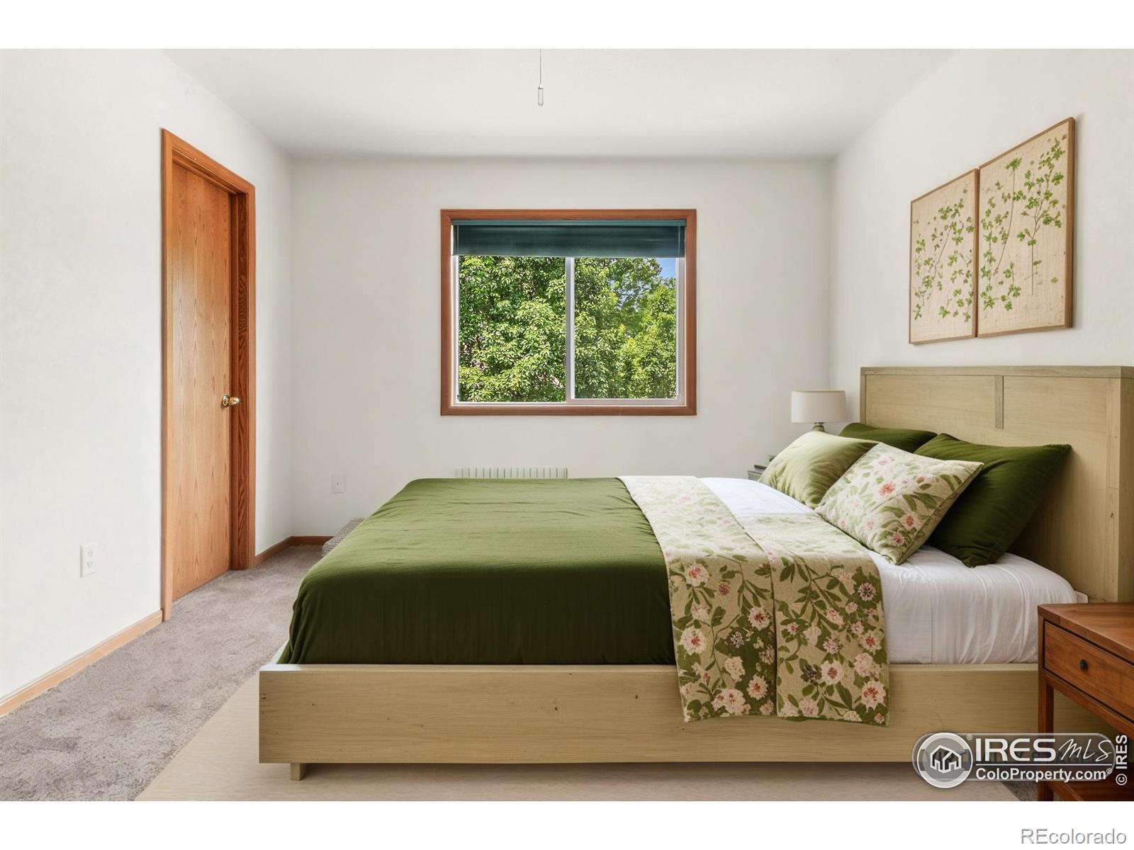 MLS Image #11 for 131  morgan court,loveland, Colorado