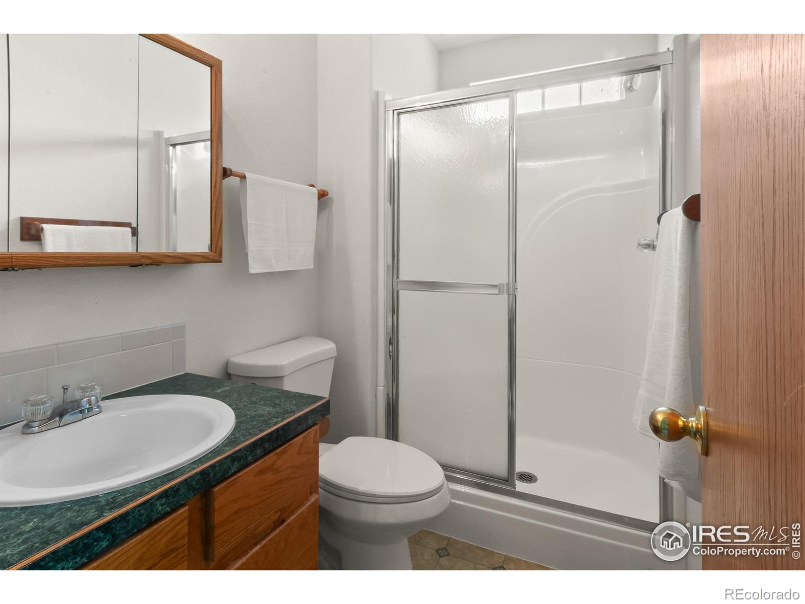 MLS Image #13 for 131  morgan court,loveland, Colorado
