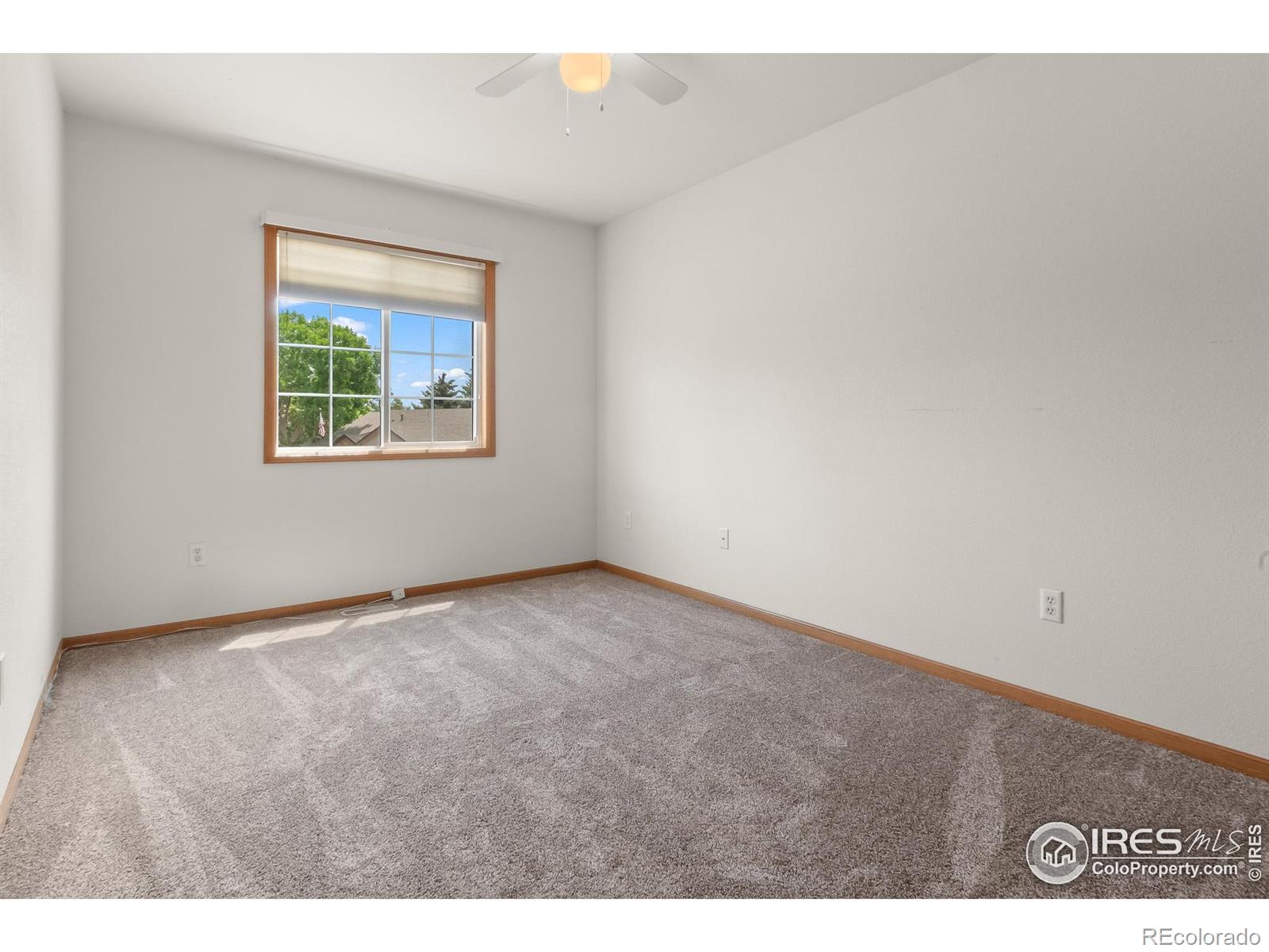 MLS Image #15 for 131  morgan court,loveland, Colorado