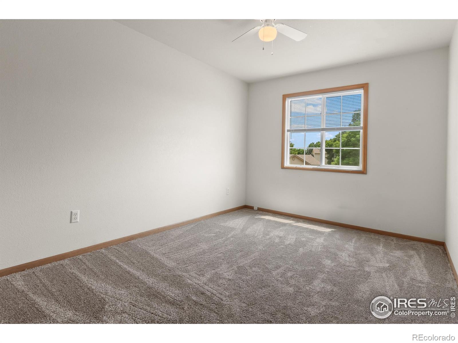 MLS Image #19 for 131  morgan court,loveland, Colorado