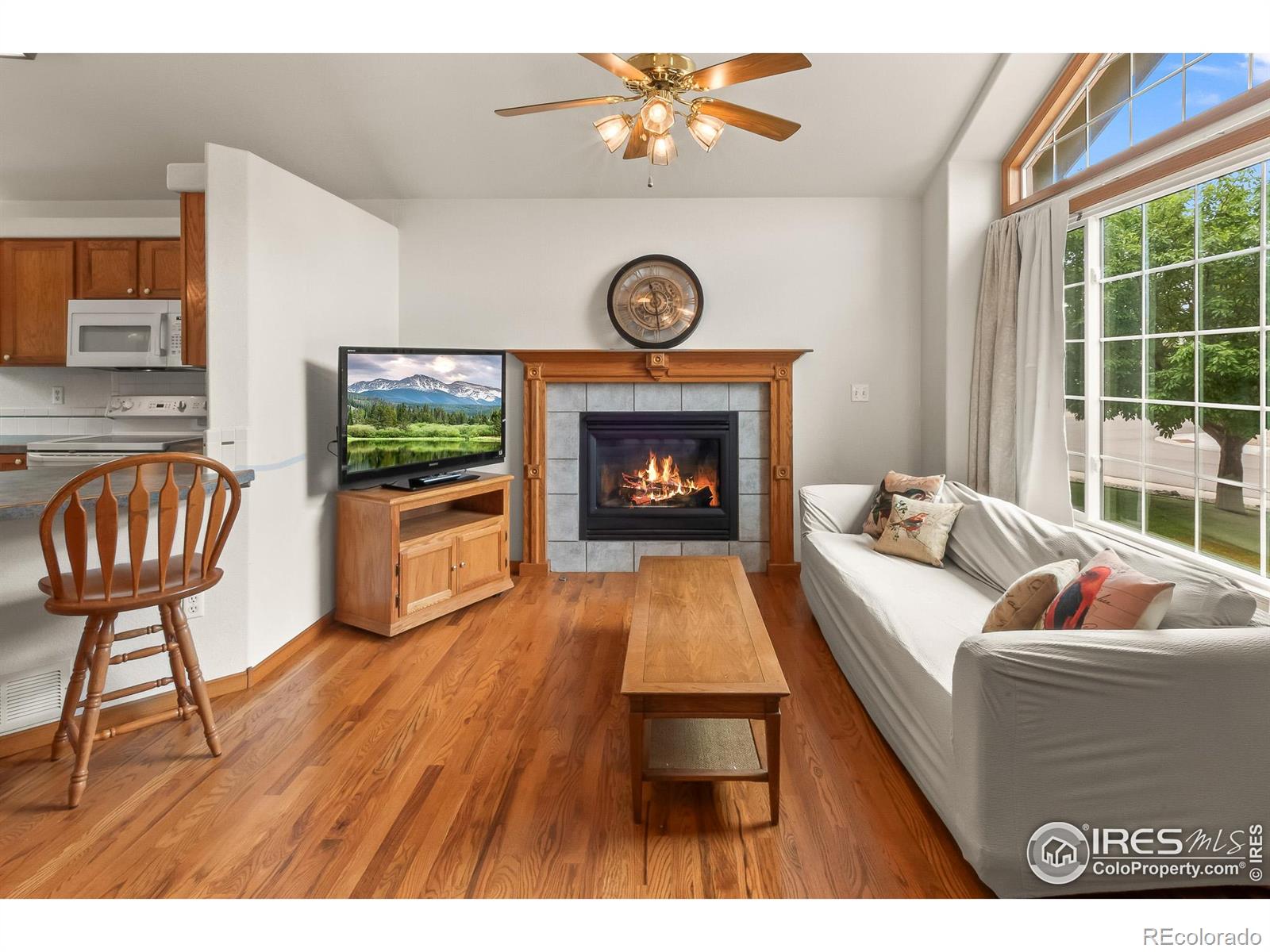 MLS Image #4 for 131  morgan court,loveland, Colorado