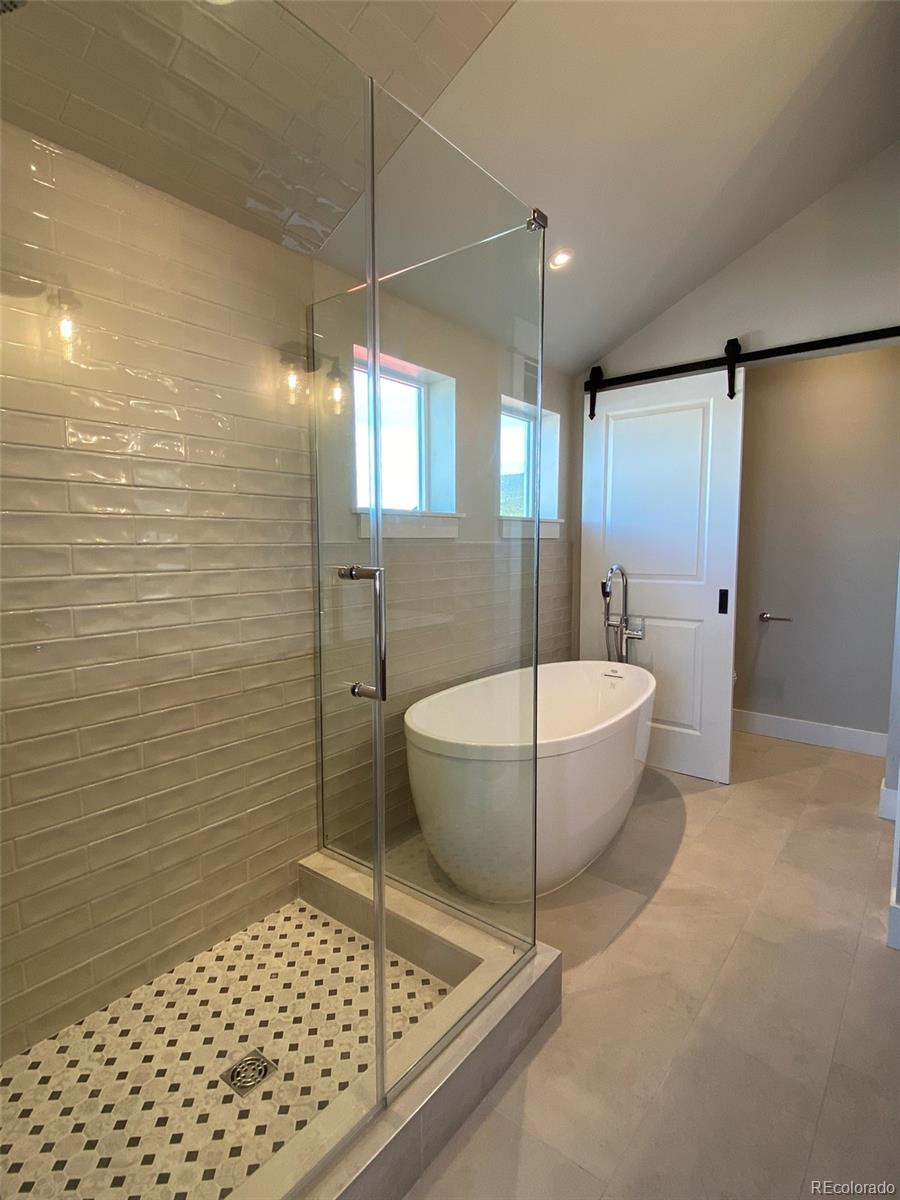 MLS Image #18 for 1309  grand review drive,leadville, Colorado