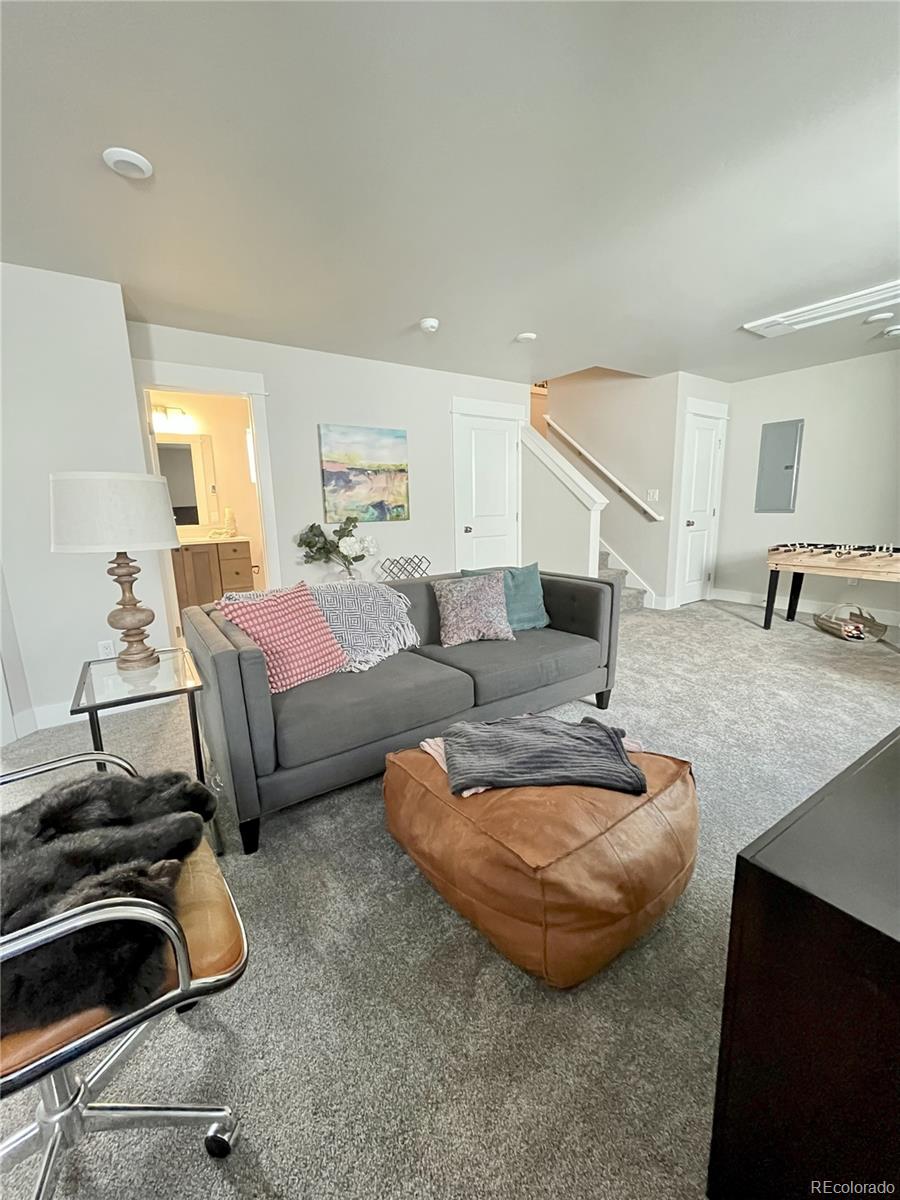 MLS Image #21 for 1309  grand review drive,leadville, Colorado