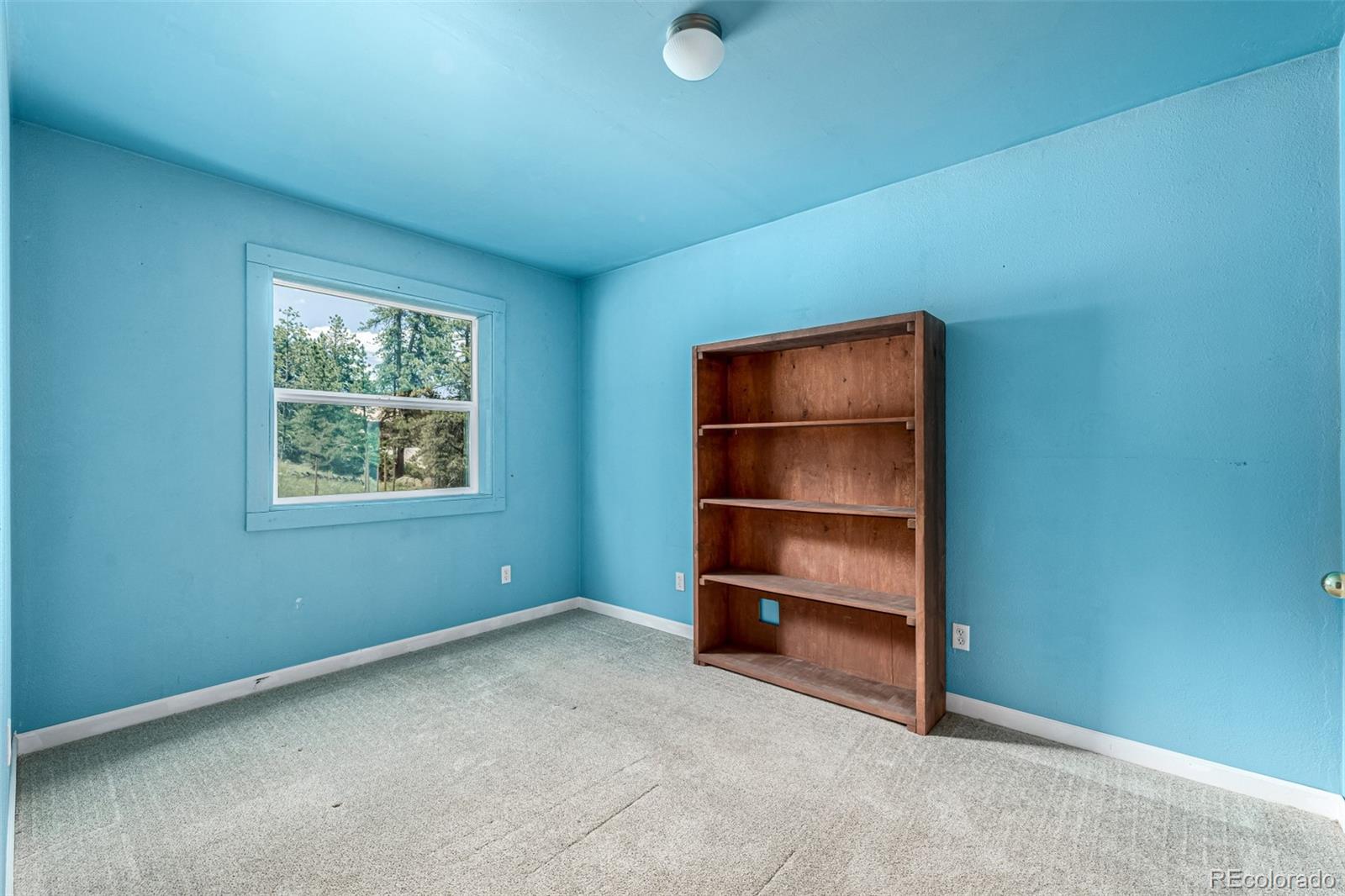 MLS Image #10 for 435  sourwood lane,canon city, Colorado