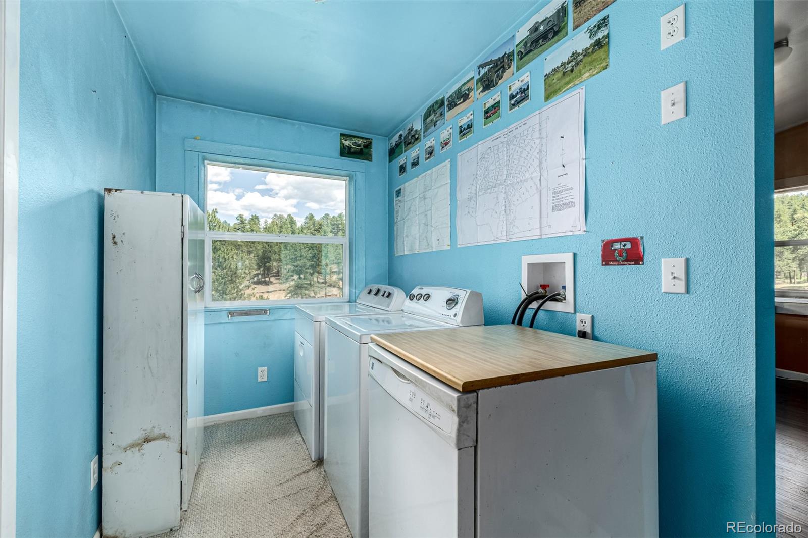 MLS Image #13 for 435  sourwood lane,canon city, Colorado