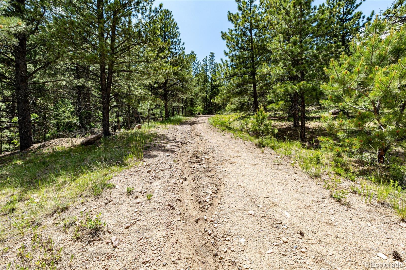 MLS Image #25 for 435  sourwood lane,canon city, Colorado