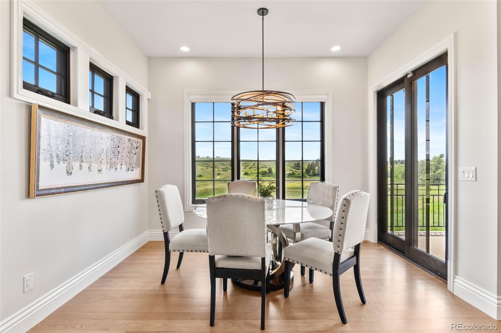 MLS Image #17 for 8625  eagle moon way,parker, Colorado