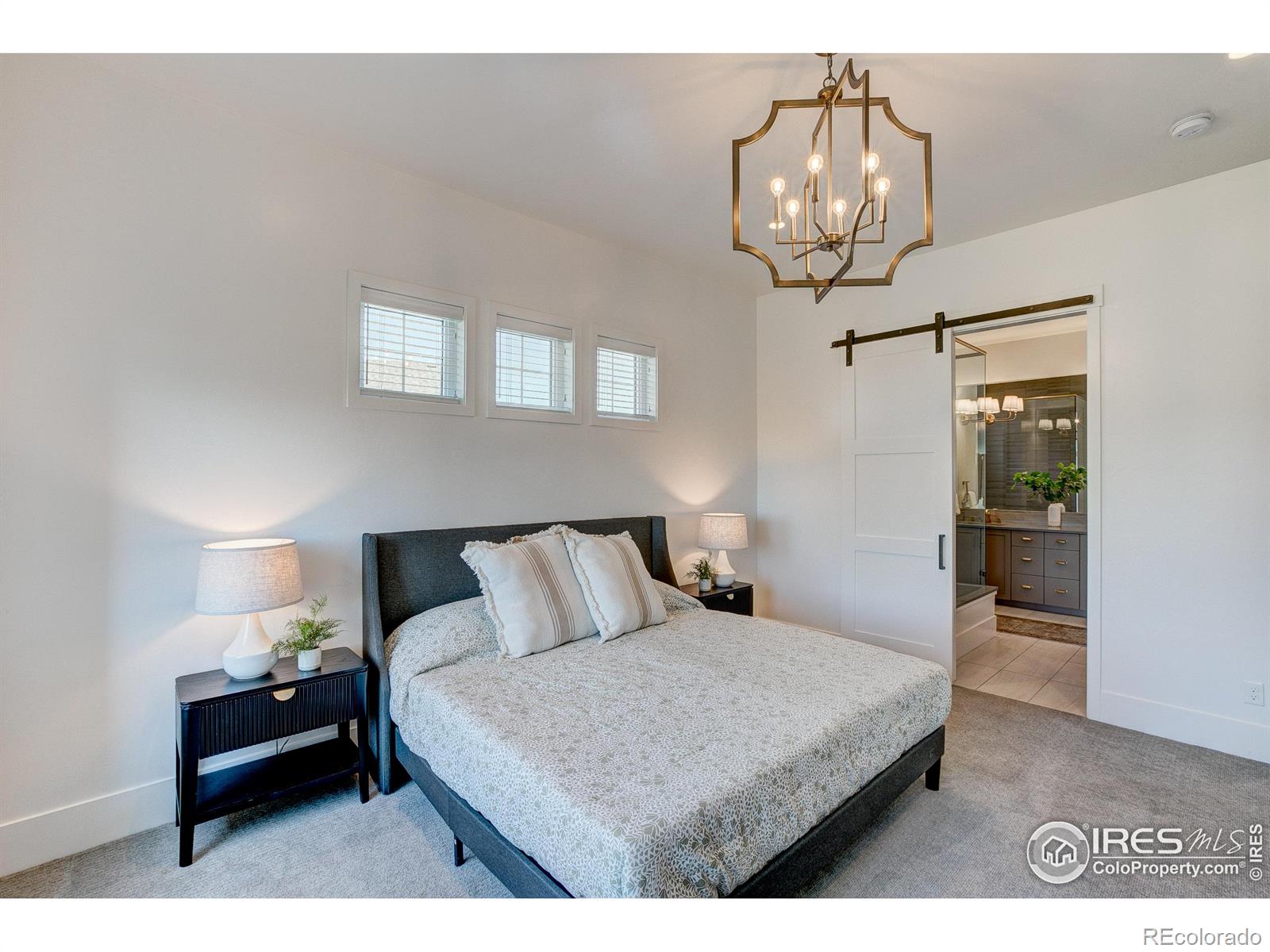 MLS Image #16 for 6309  foundry court,timnath, Colorado