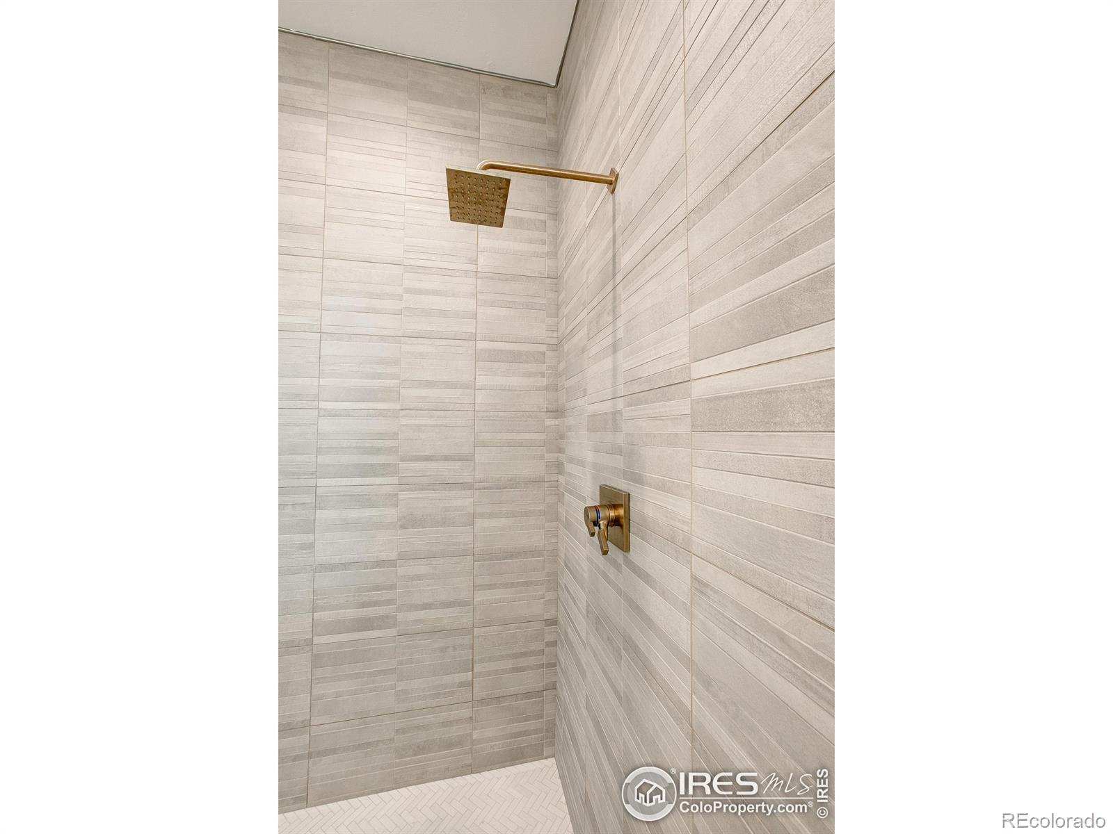 MLS Image #19 for 6309  foundry court,timnath, Colorado