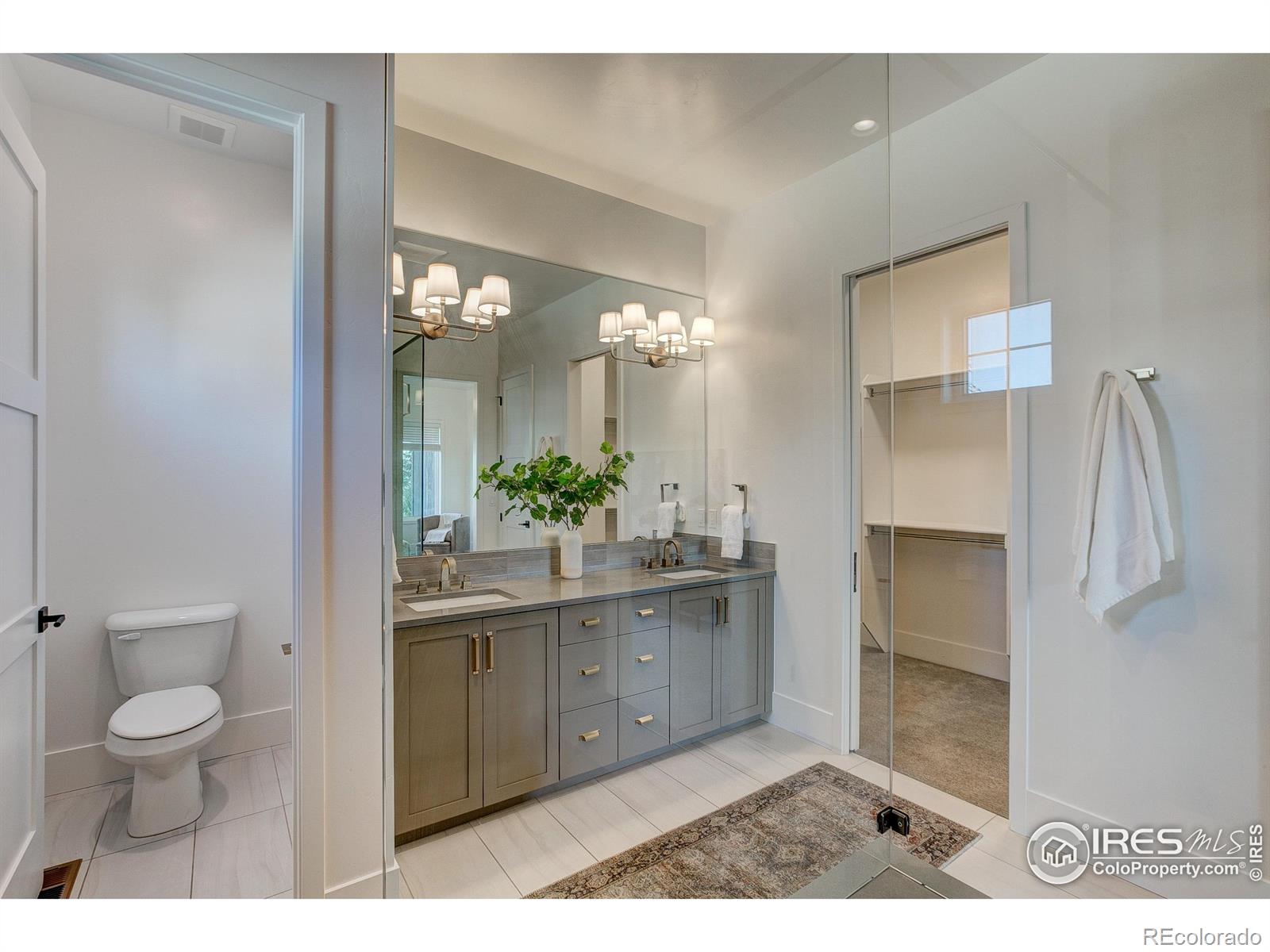 MLS Image #20 for 6309  foundry court,timnath, Colorado