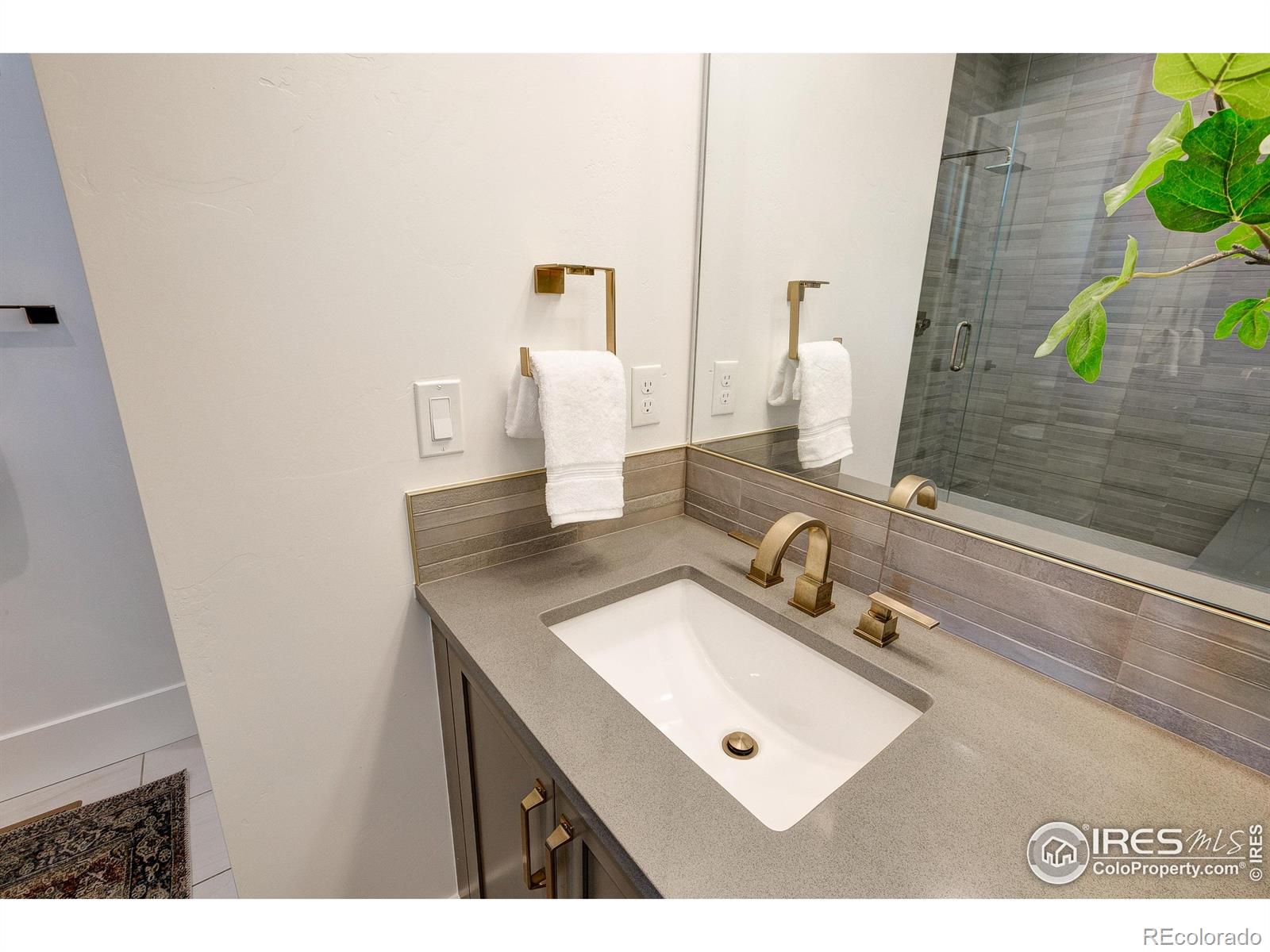 MLS Image #21 for 6309  foundry court,timnath, Colorado
