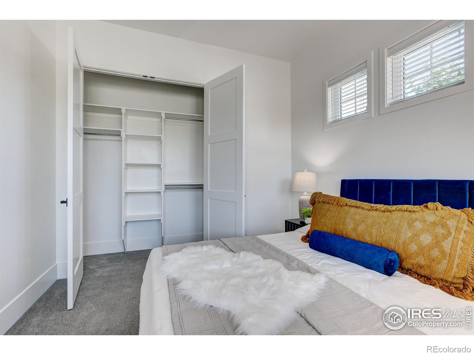 MLS Image #26 for 6309  foundry court,timnath, Colorado