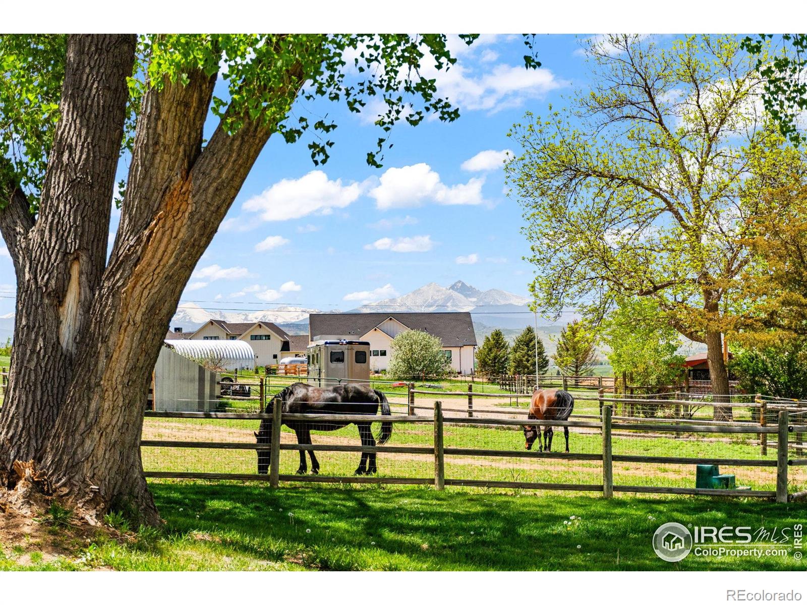 MLS Image #35 for 2017  vaquero street,longmont, Colorado