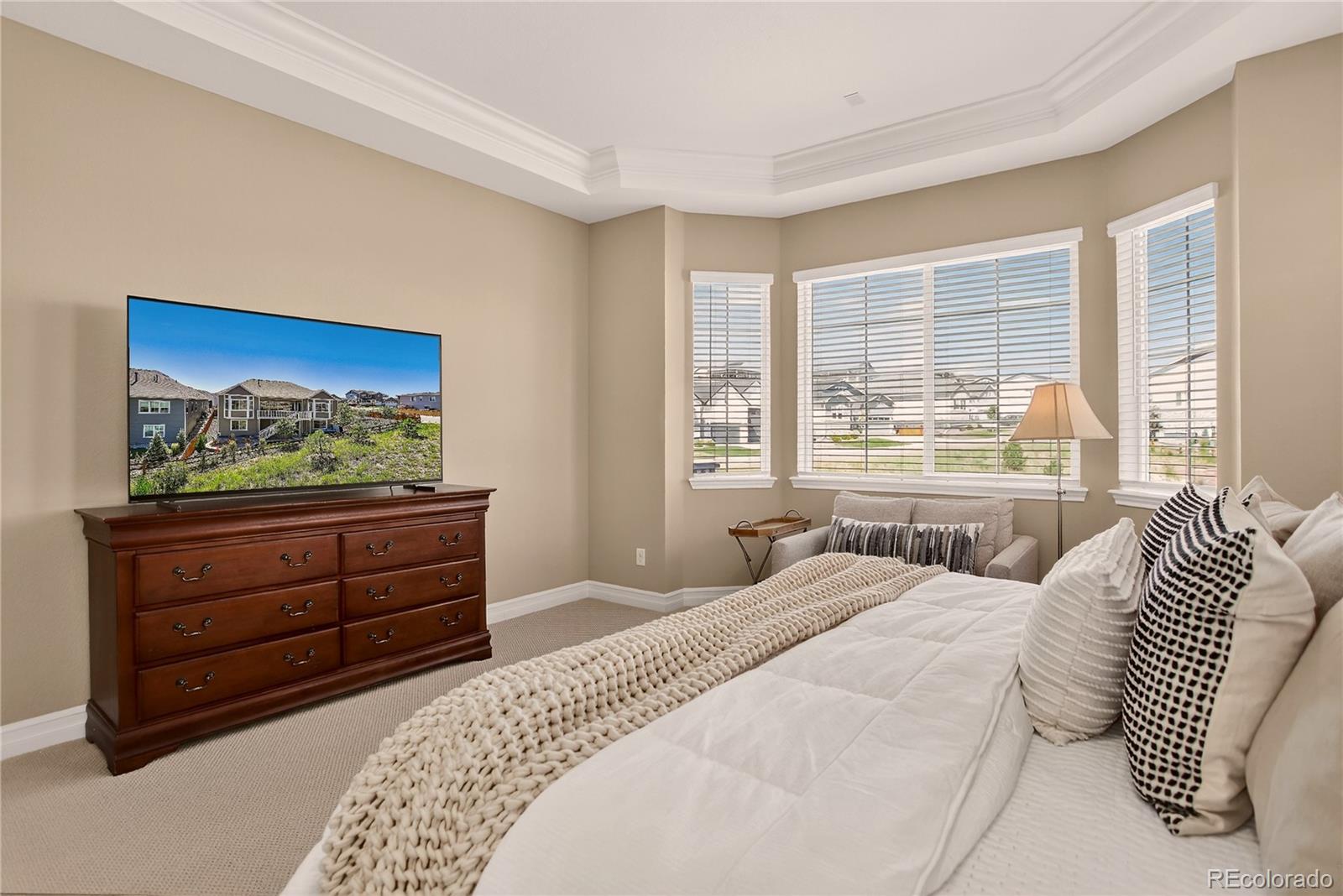 MLS Image #12 for 1057  melting snow way,castle rock, Colorado
