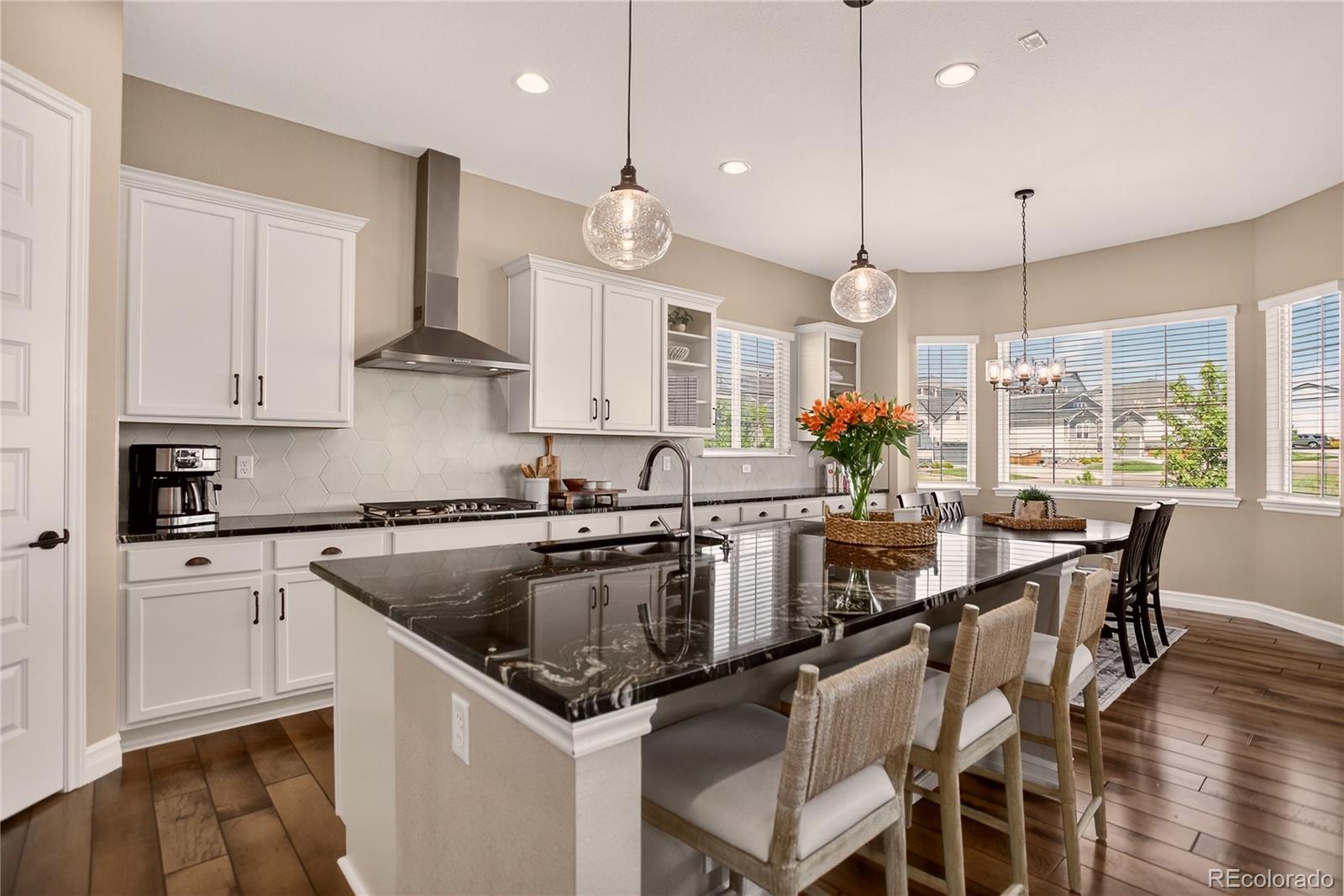 MLS Image #3 for 1057  melting snow way,castle rock, Colorado