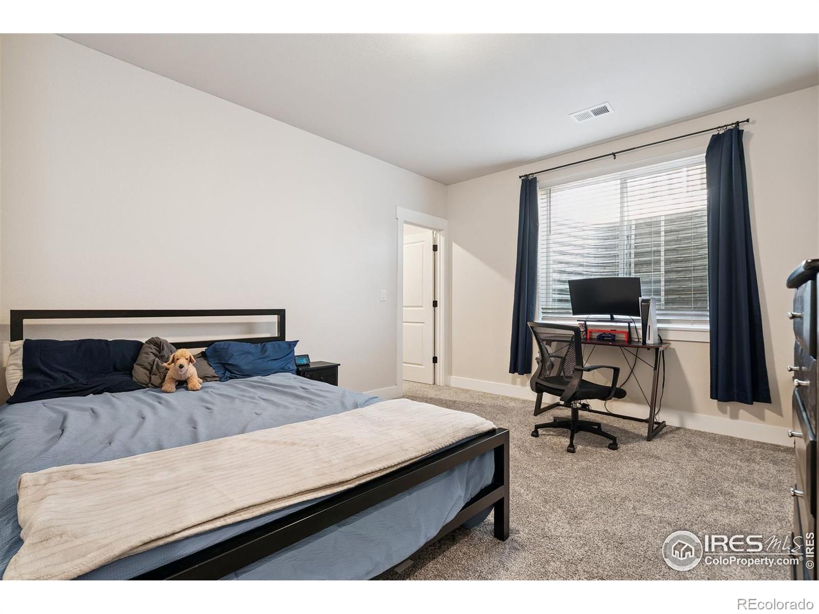 MLS Image #31 for 5183  long drive,timnath, Colorado