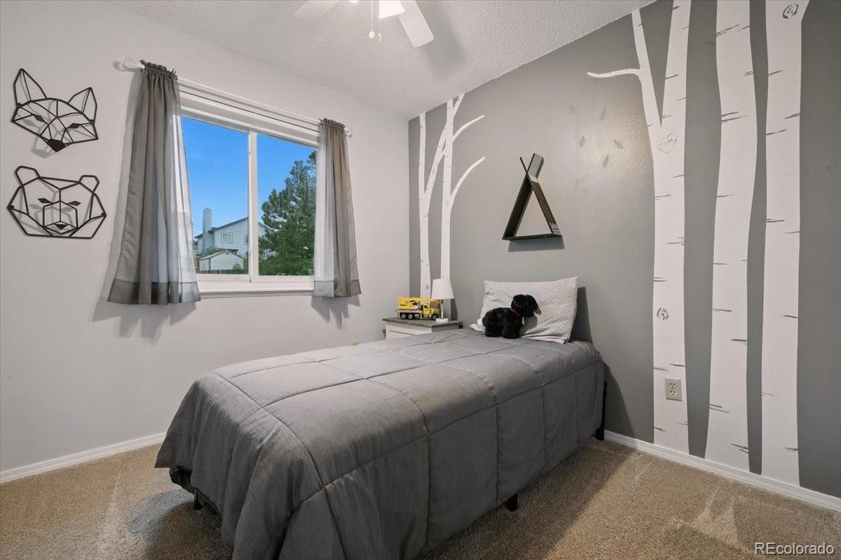 MLS Image #21 for 6517  sproul lane,colorado springs, Colorado