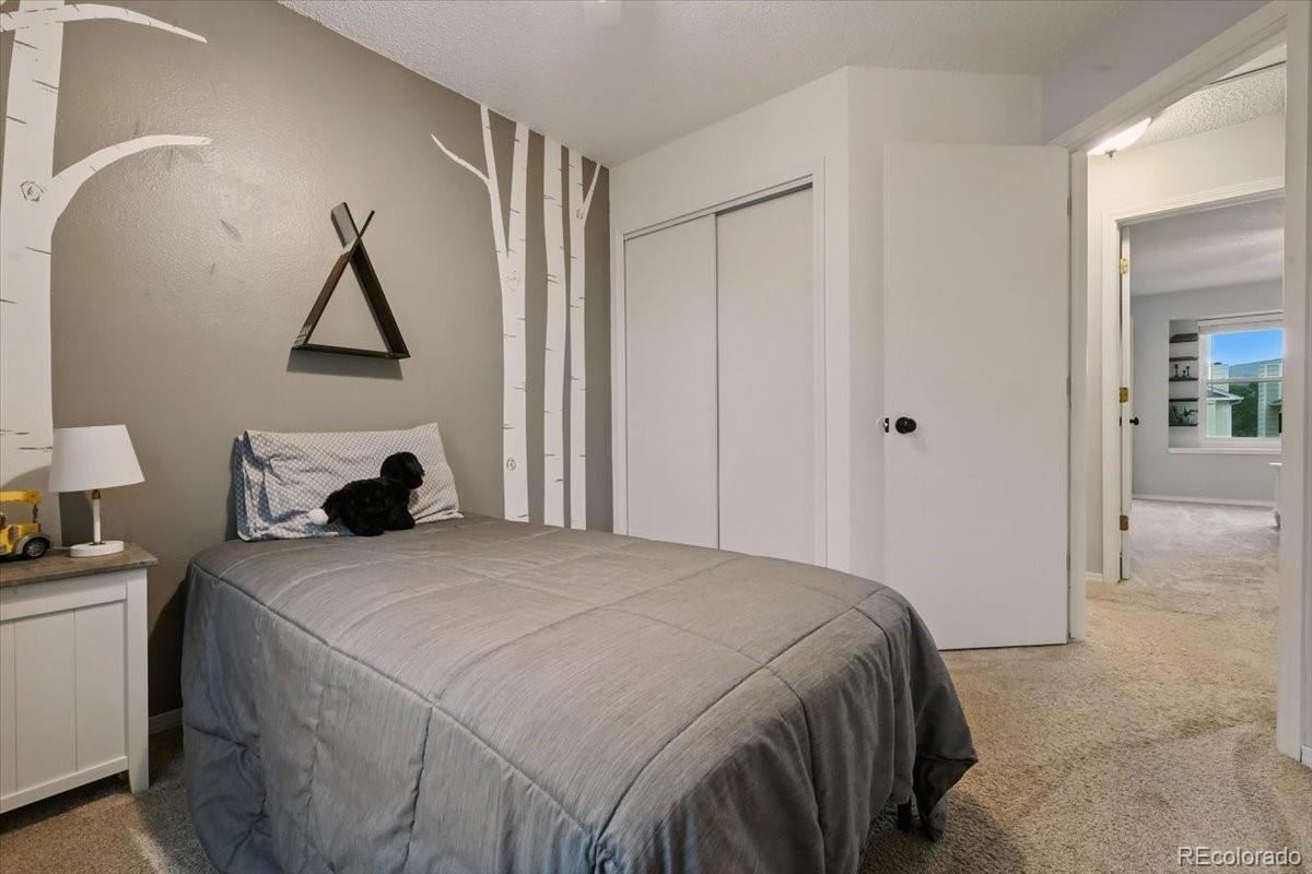 MLS Image #22 for 6517  sproul lane,colorado springs, Colorado