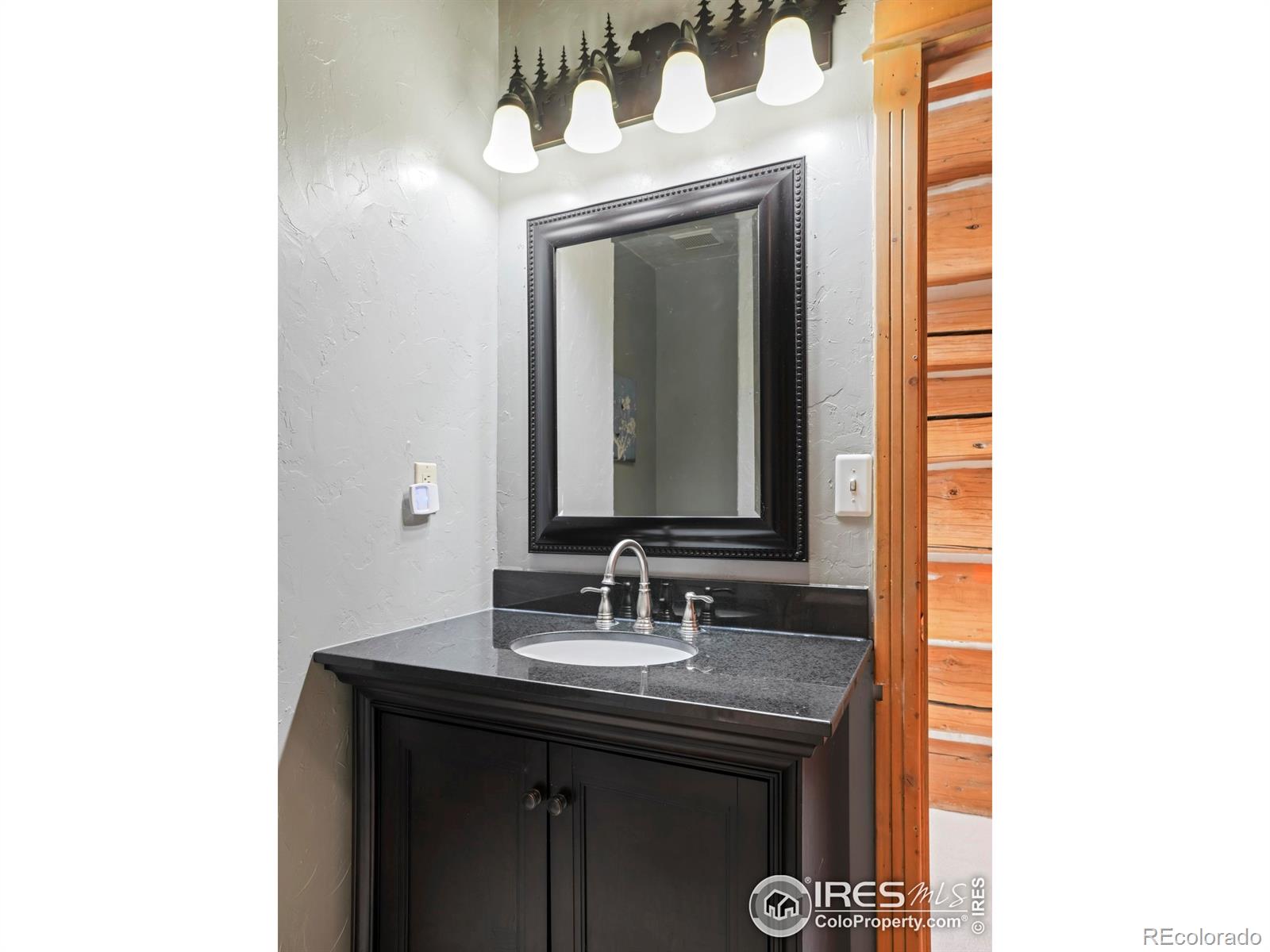 MLS Image #13 for 24043  eagle cliff trail,conifer, Colorado