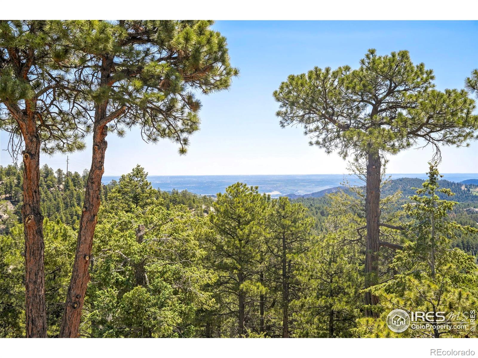 MLS Image #25 for 24043  eagle cliff trail,conifer, Colorado