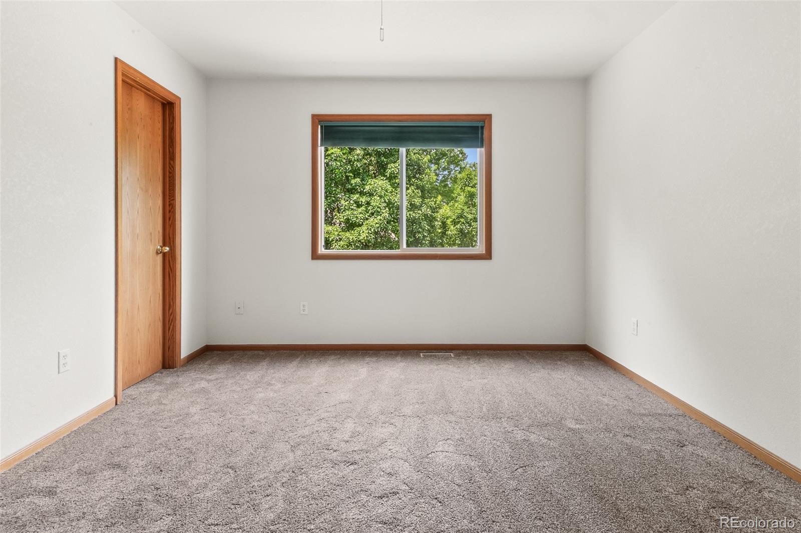 MLS Image #10 for 131  morgan court,loveland, Colorado