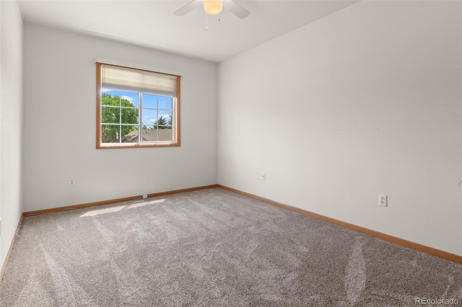MLS Image #15 for 131  morgan court,loveland, Colorado