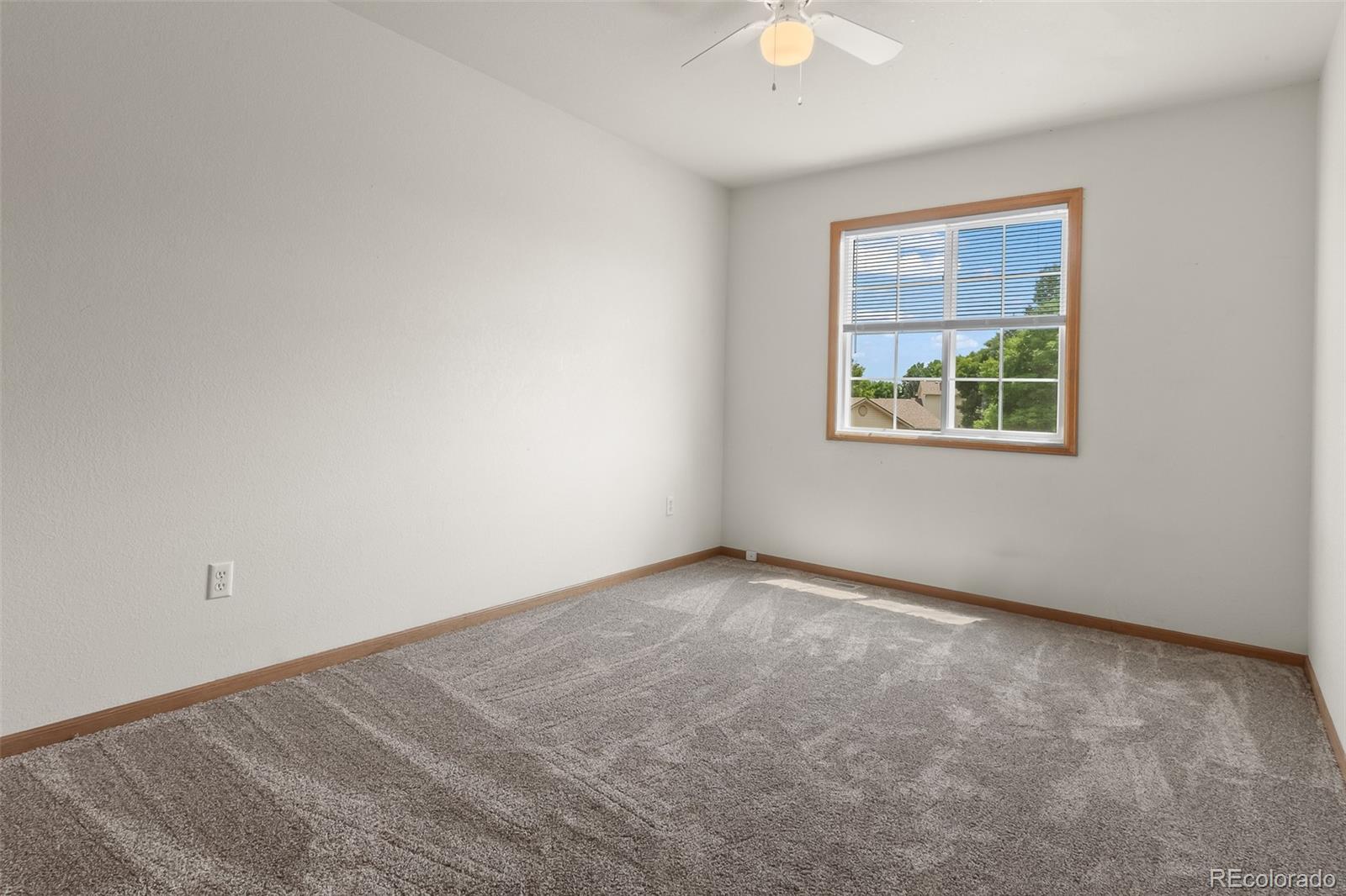 MLS Image #19 for 131  morgan court,loveland, Colorado