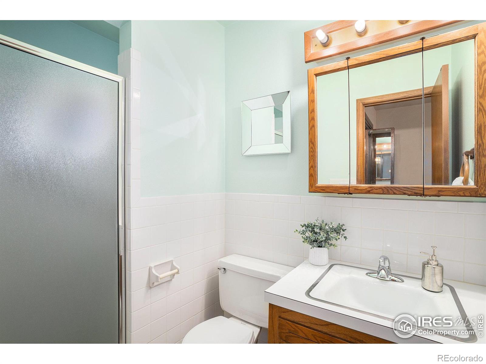 MLS Image #18 for 2007  abeyta court,loveland, Colorado