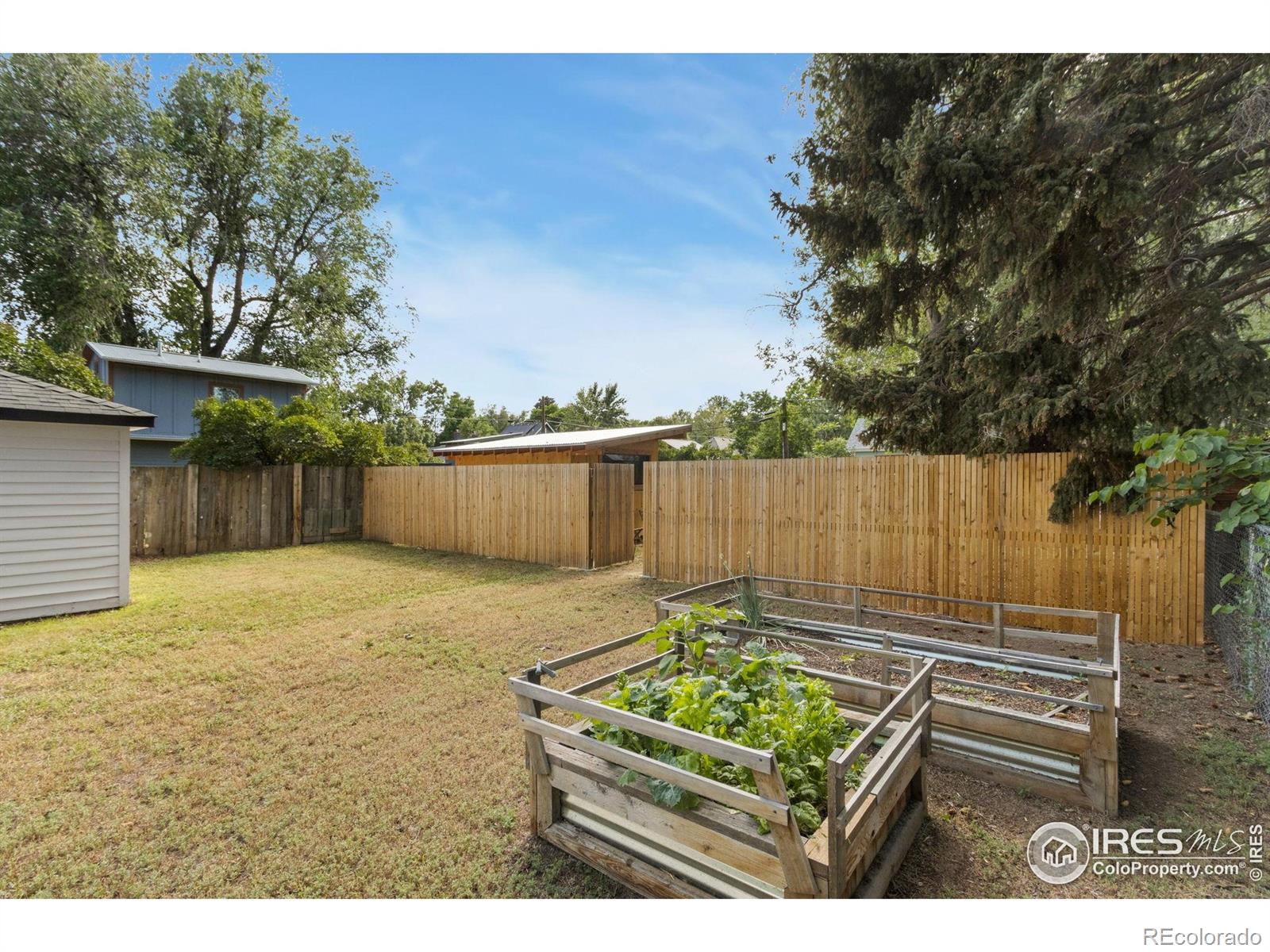 MLS Image #23 for 217  park street,fort collins, Colorado